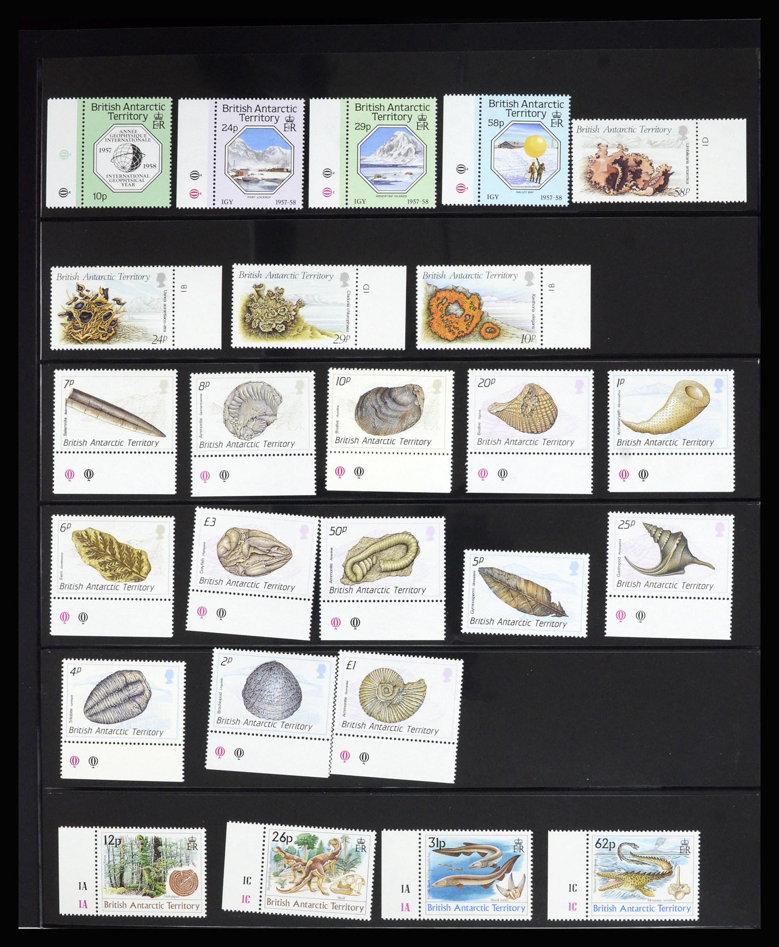 36678 029 - Postzegelverzameling 36678 Antarctica 1957-2012.