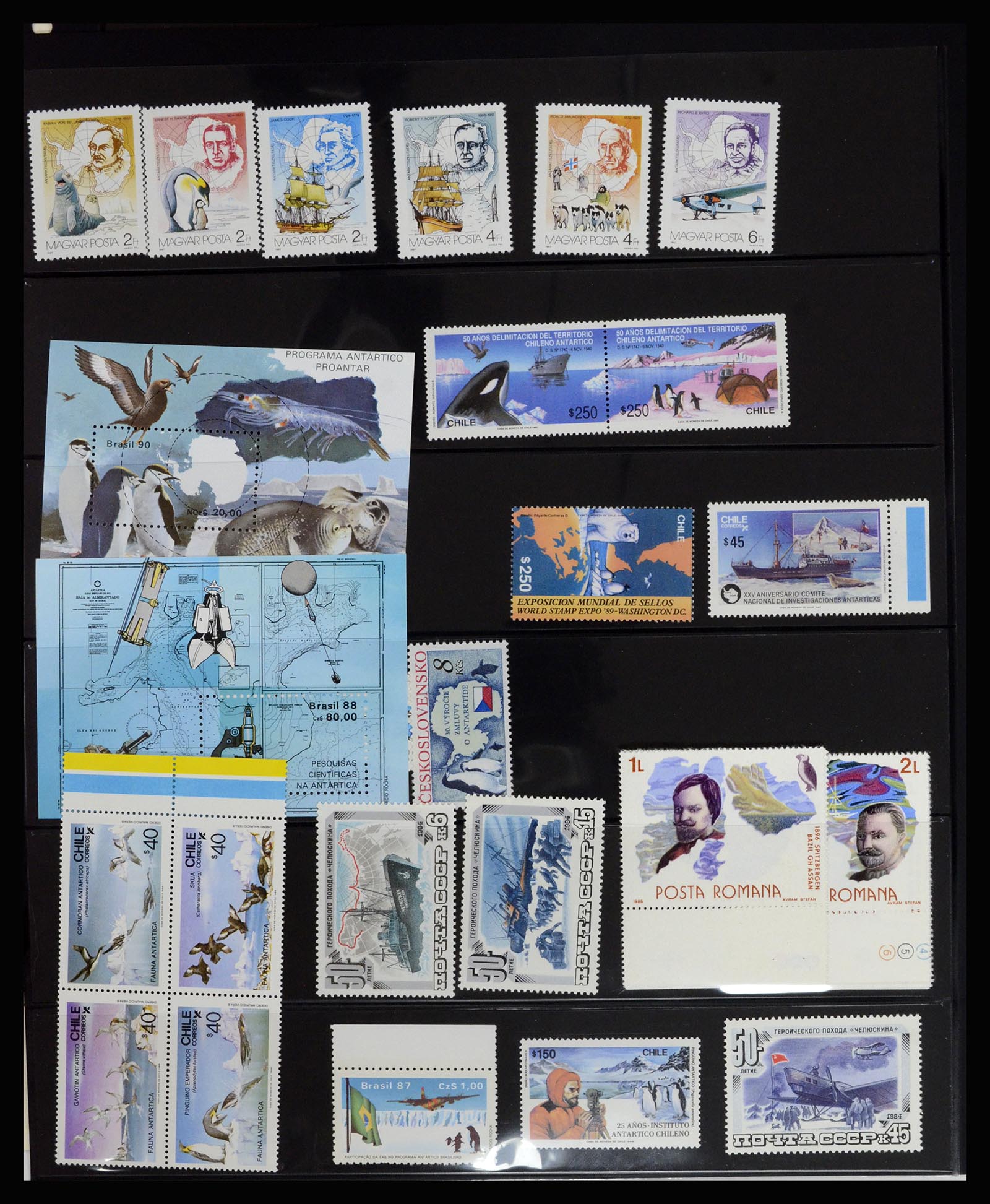 36678 033 - Postzegelverzameling 36678 Antarctica 1957-2012.