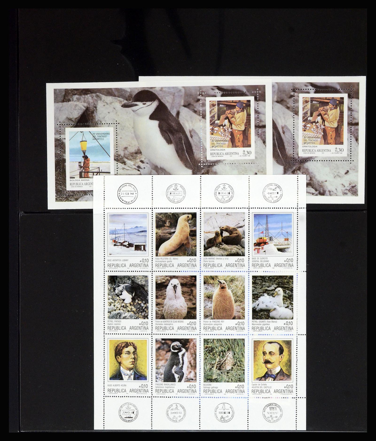 36678 034 - Postzegelverzameling 36678 Antarctica 1957-2012.