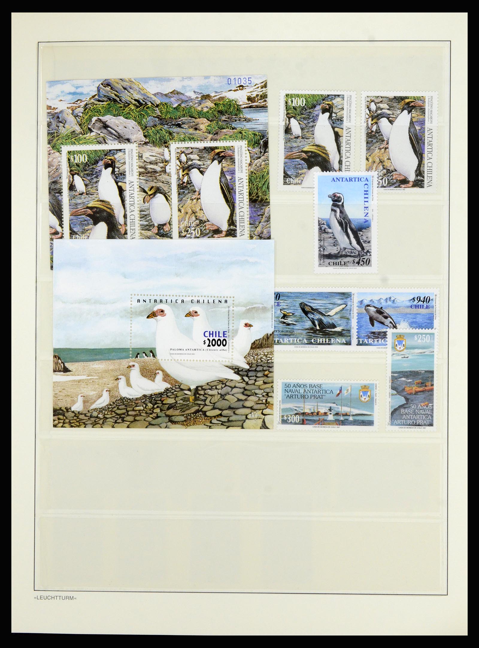 36678 055 - Stamp collection 36678 Antarctica 1957-2012.