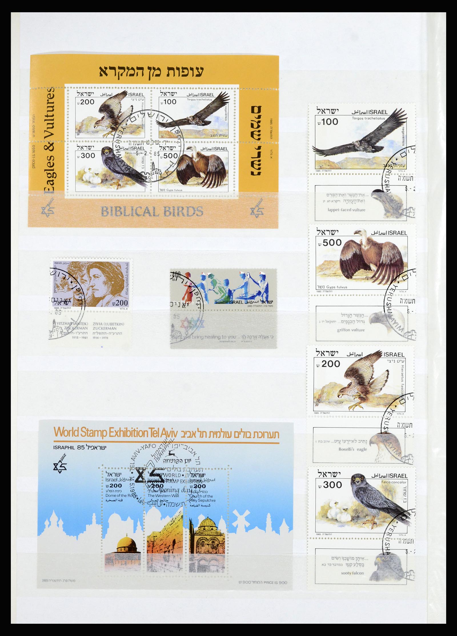 36701 048 - Postzegelverzameling 36701 Israël 1949-2000.