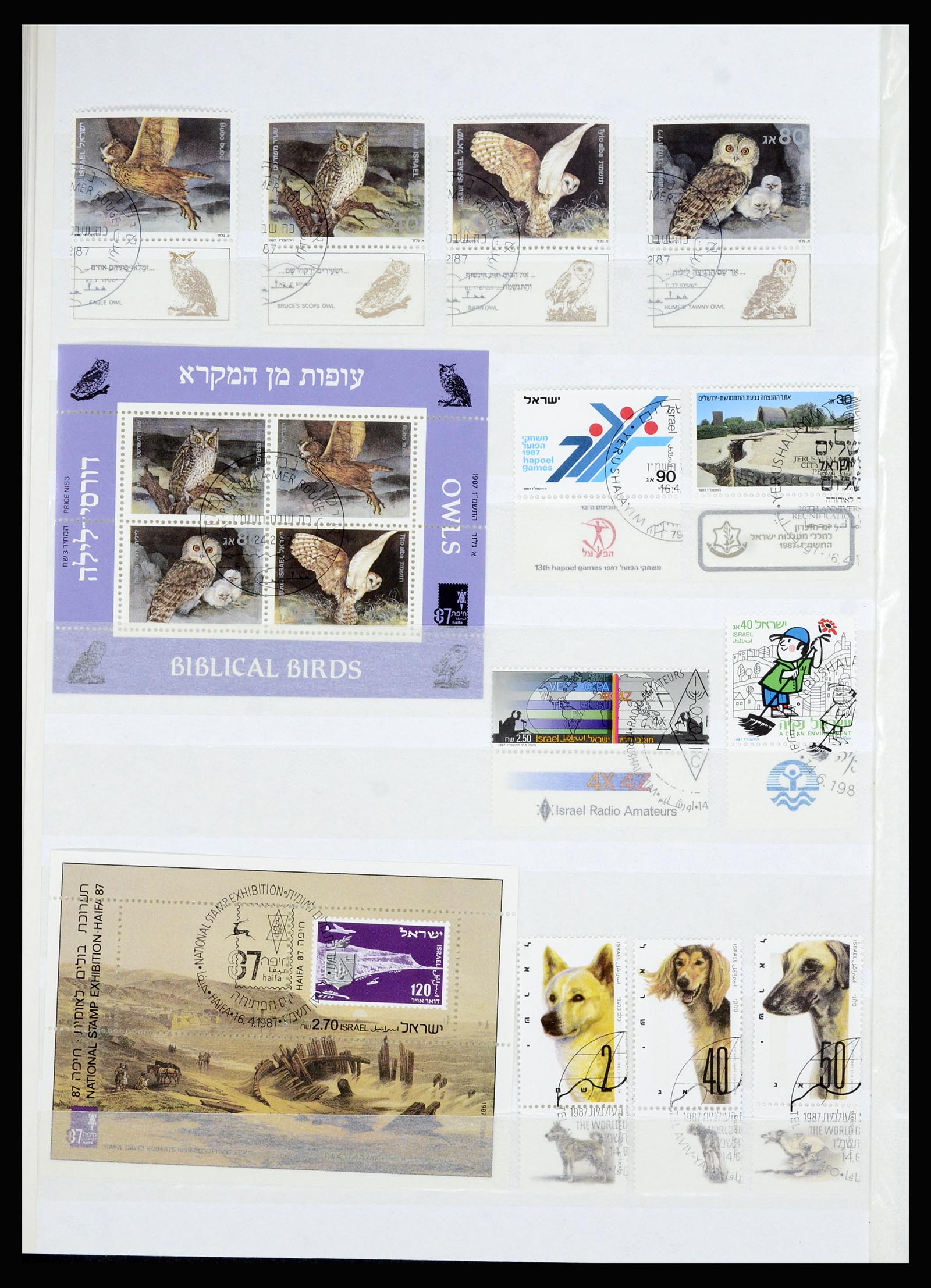 36701 052 - Postzegelverzameling 36701 Israël 1949-2000.