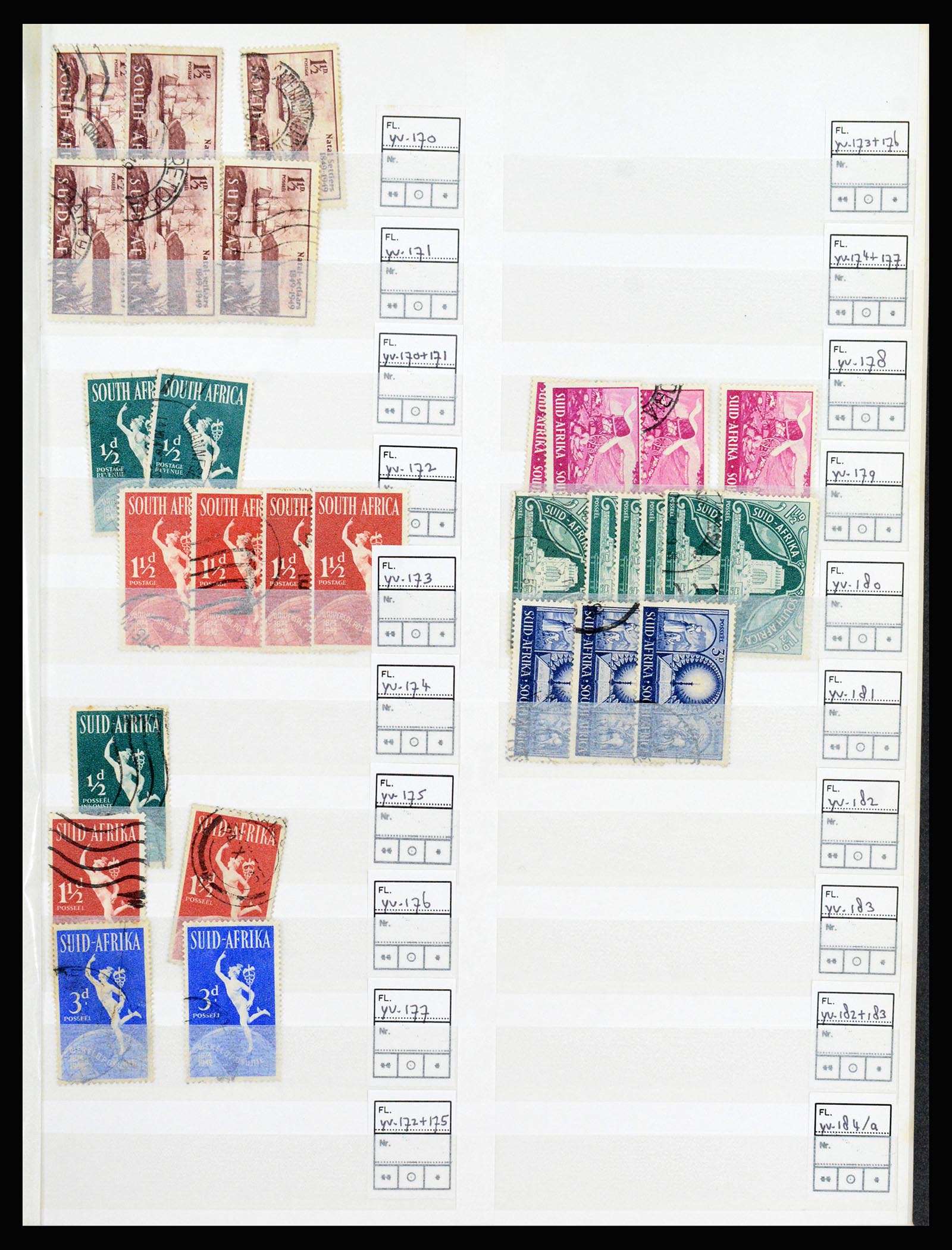 36743 013 - Postzegelverzameling 36743 Zuid Afrika en thuislanden 1910-1998.