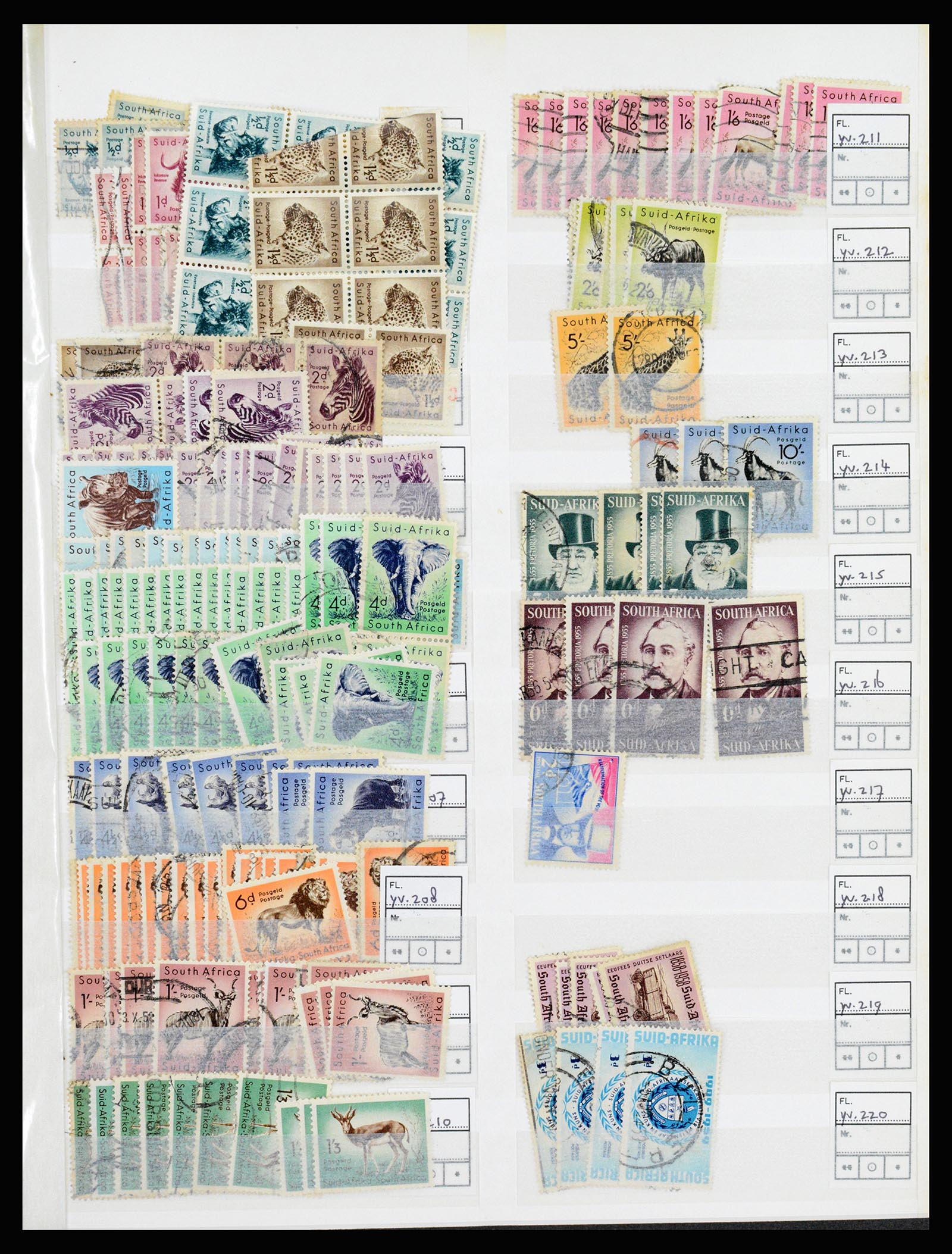 36743 015 - Postzegelverzameling 36743 Zuid Afrika en thuislanden 1910-1998.
