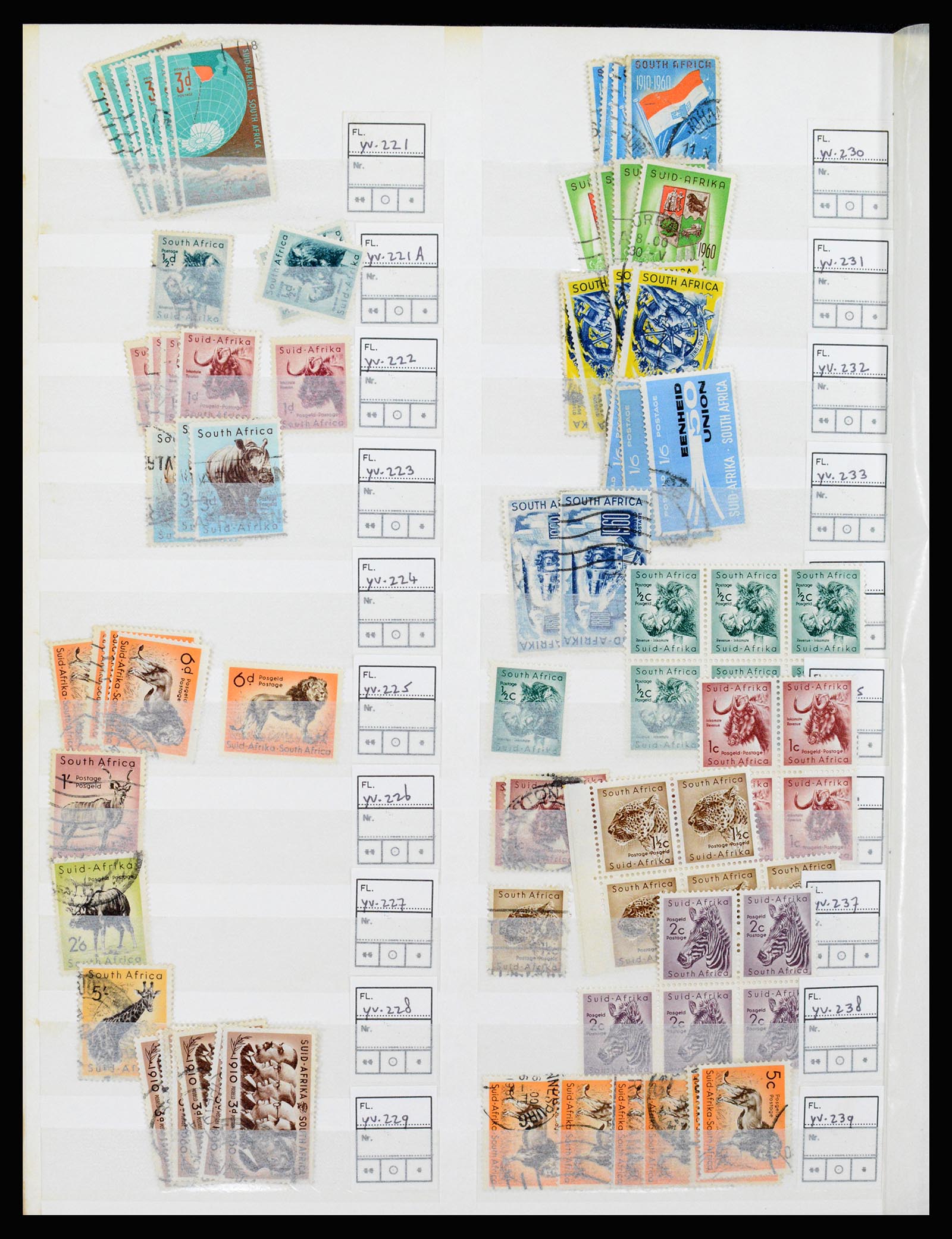 36743 016 - Postzegelverzameling 36743 Zuid Afrika en thuislanden 1910-1998.