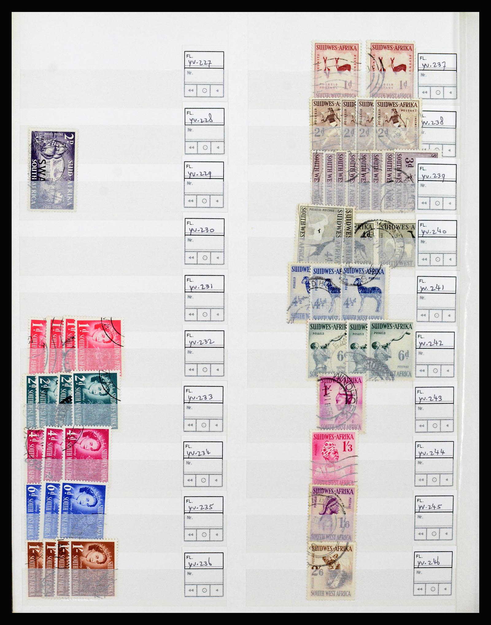 36743 034 - Postzegelverzameling 36743 Zuid Afrika en thuislanden 1910-1998.