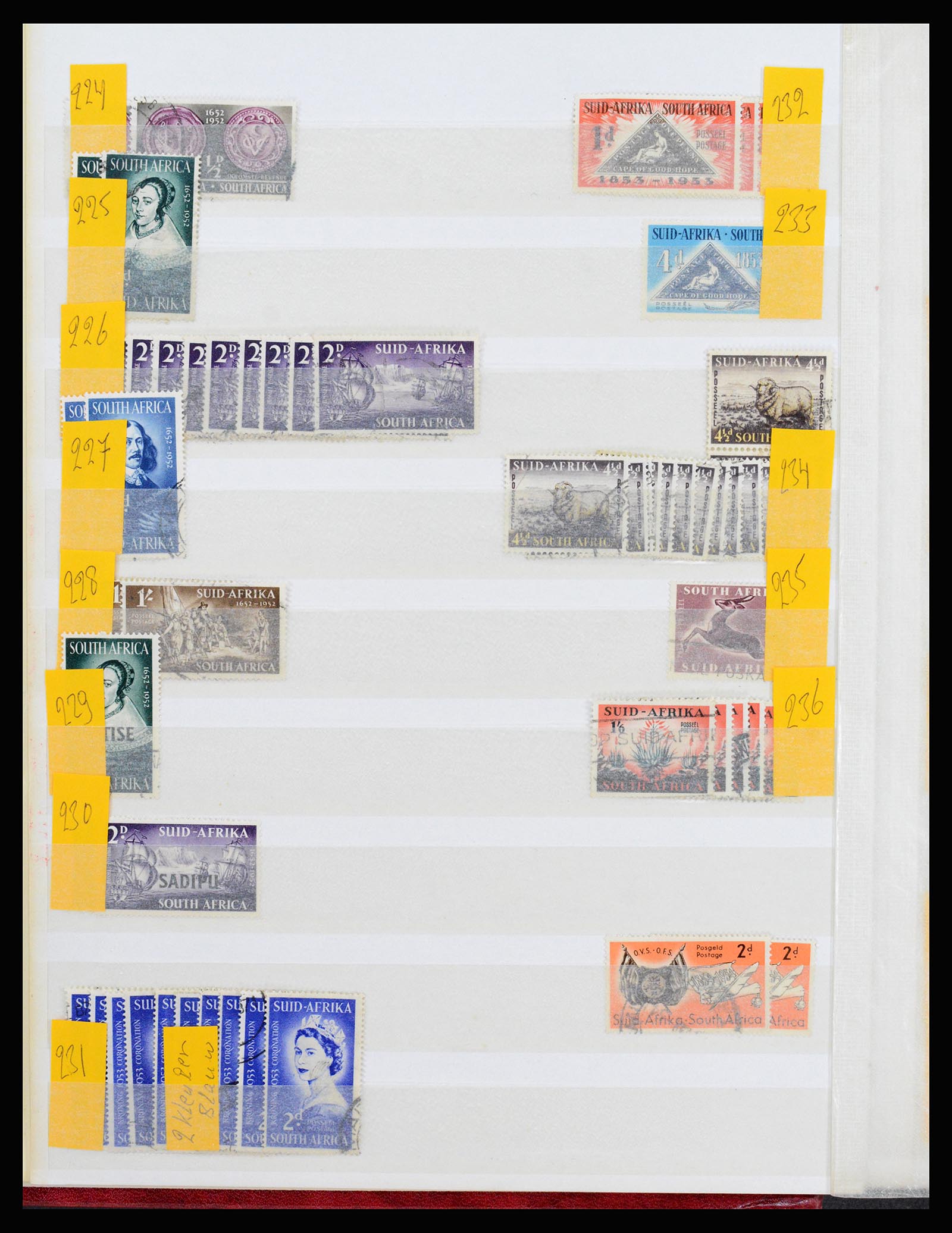 36743 037 - Postzegelverzameling 36743 Zuid Afrika en thuislanden 1910-1998.