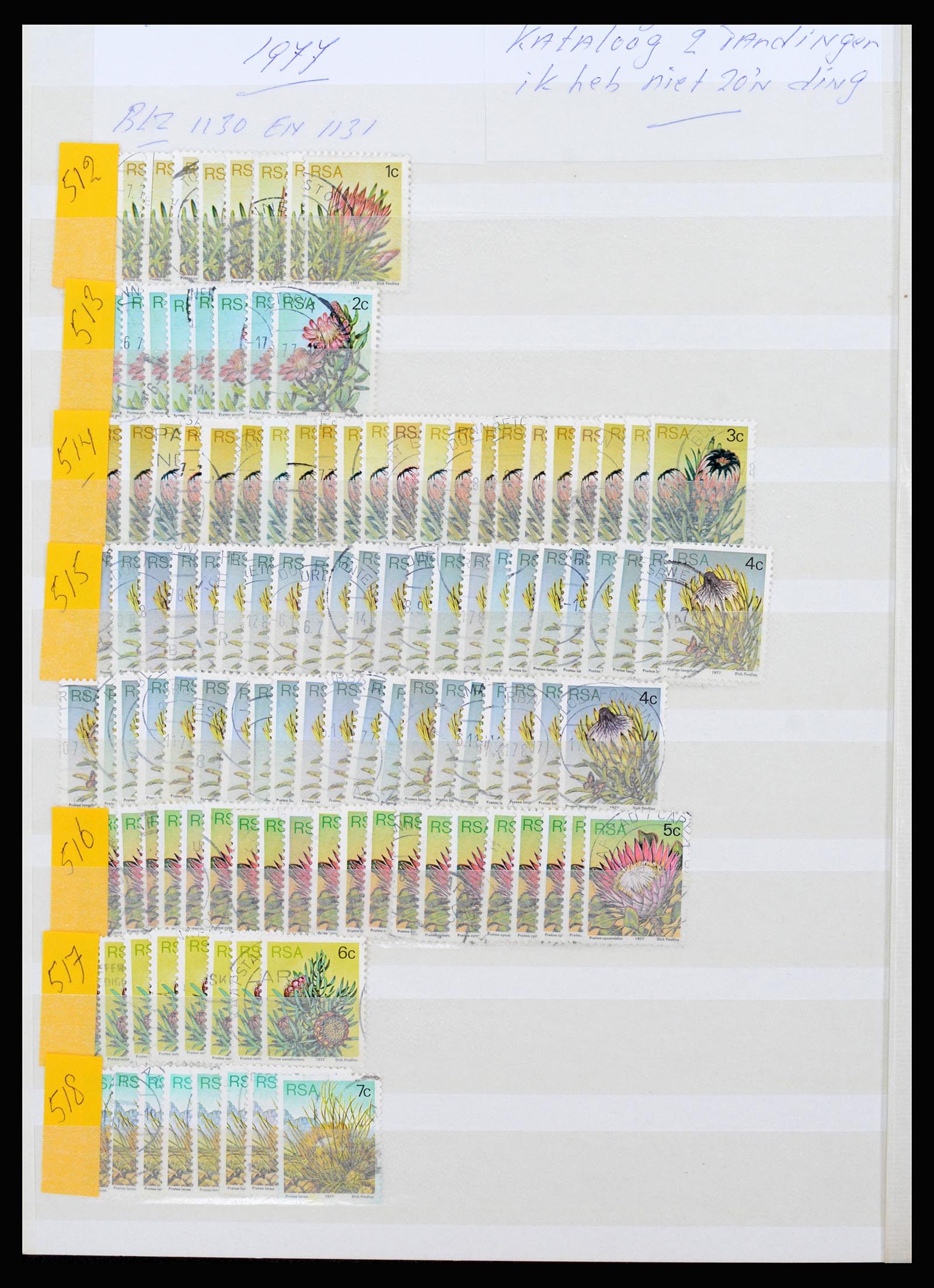 36743 074 - Postzegelverzameling 36743 Zuid Afrika en thuislanden 1910-1998.