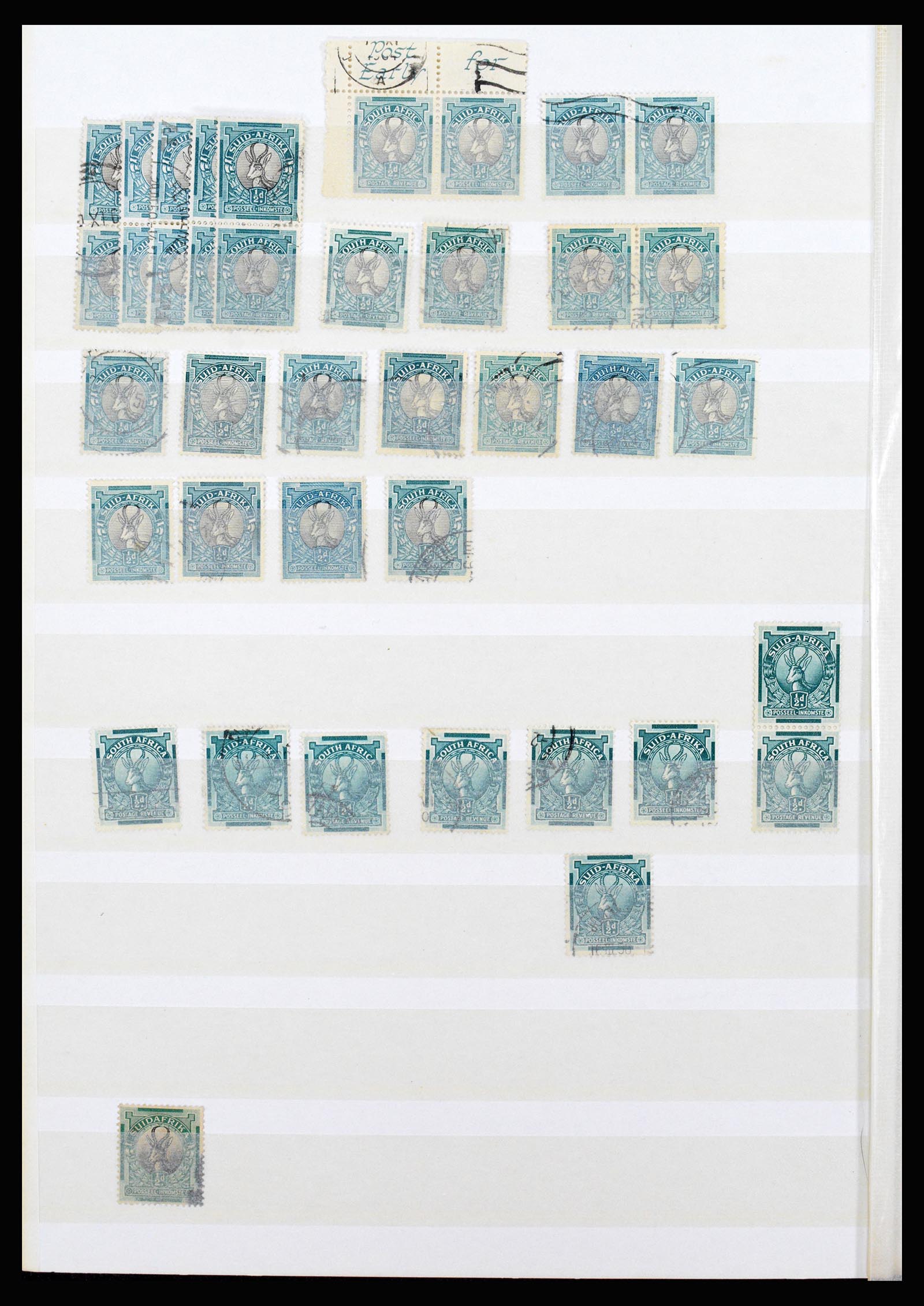 36743 080 - Postzegelverzameling 36743 Zuid Afrika en thuislanden 1910-1998.