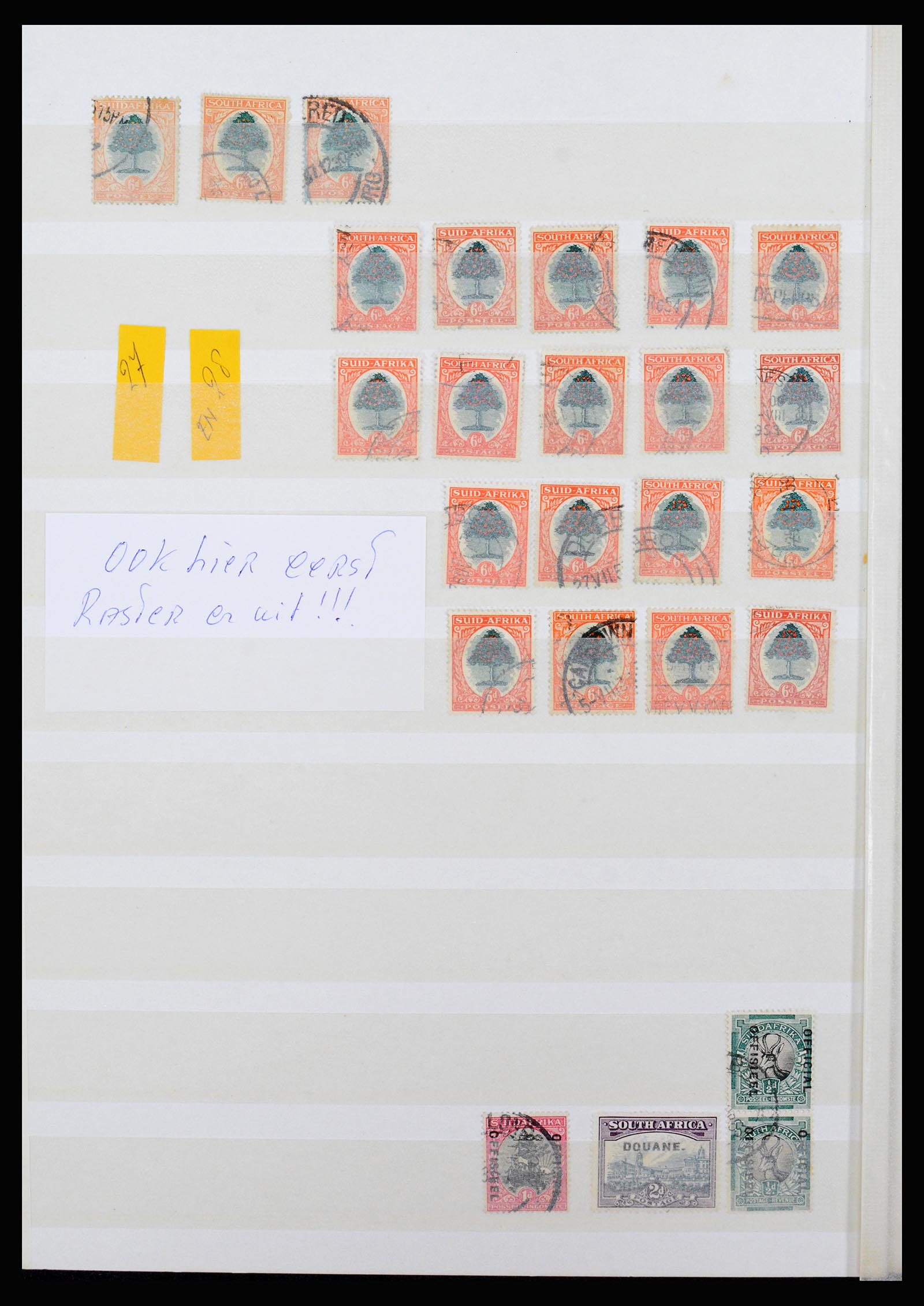 36743 082 - Postzegelverzameling 36743 Zuid Afrika en thuislanden 1910-1998.