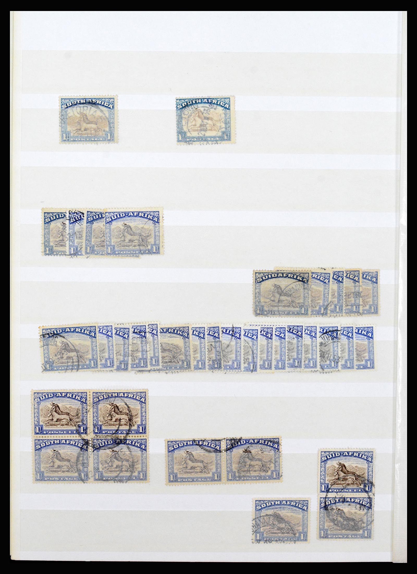 36743 086 - Postzegelverzameling 36743 Zuid Afrika en thuislanden 1910-1998.