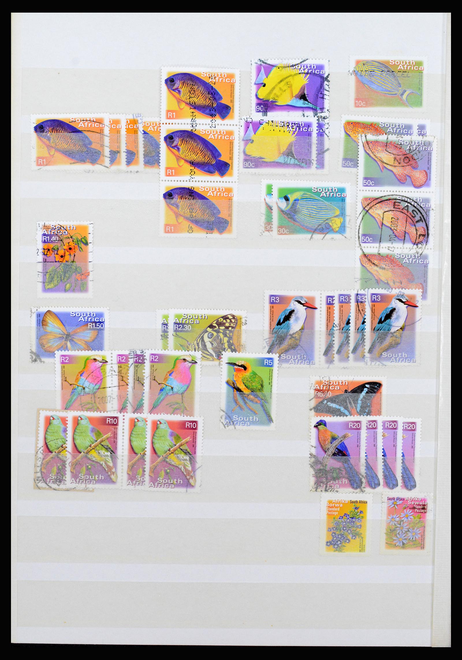 36743 090 - Postzegelverzameling 36743 Zuid Afrika en thuislanden 1910-1998.
