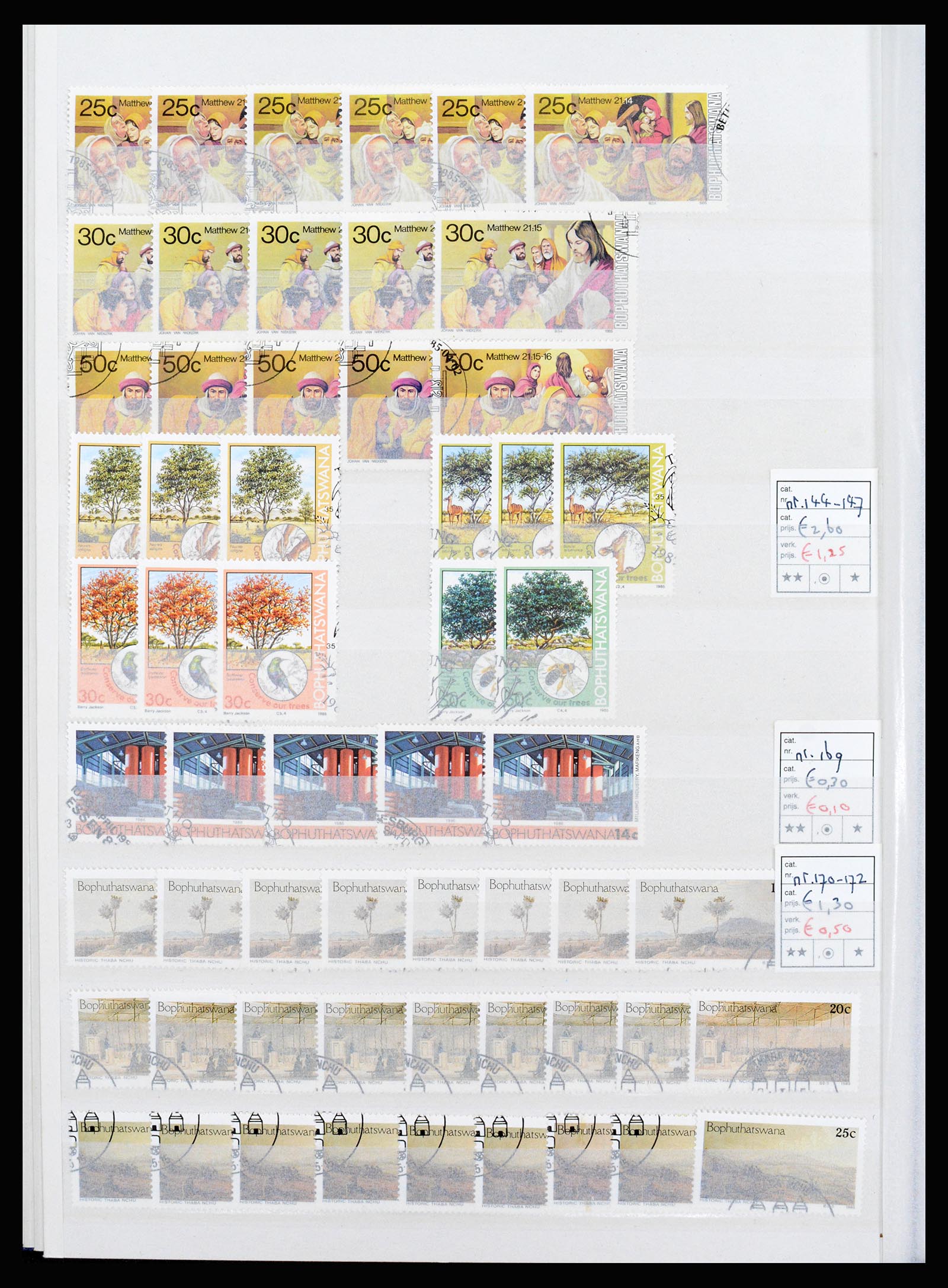 36743 262 - Postzegelverzameling 36743 Zuid Afrika en thuislanden 1910-1998.