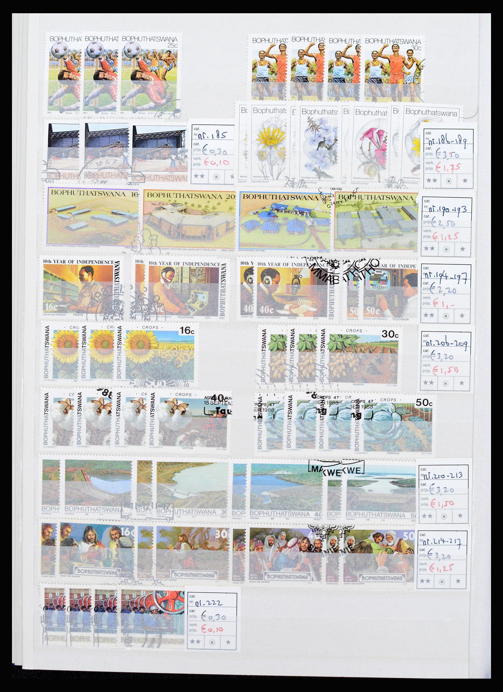 36743 264 - Postzegelverzameling 36743 Zuid Afrika en thuislanden 1910-1998.