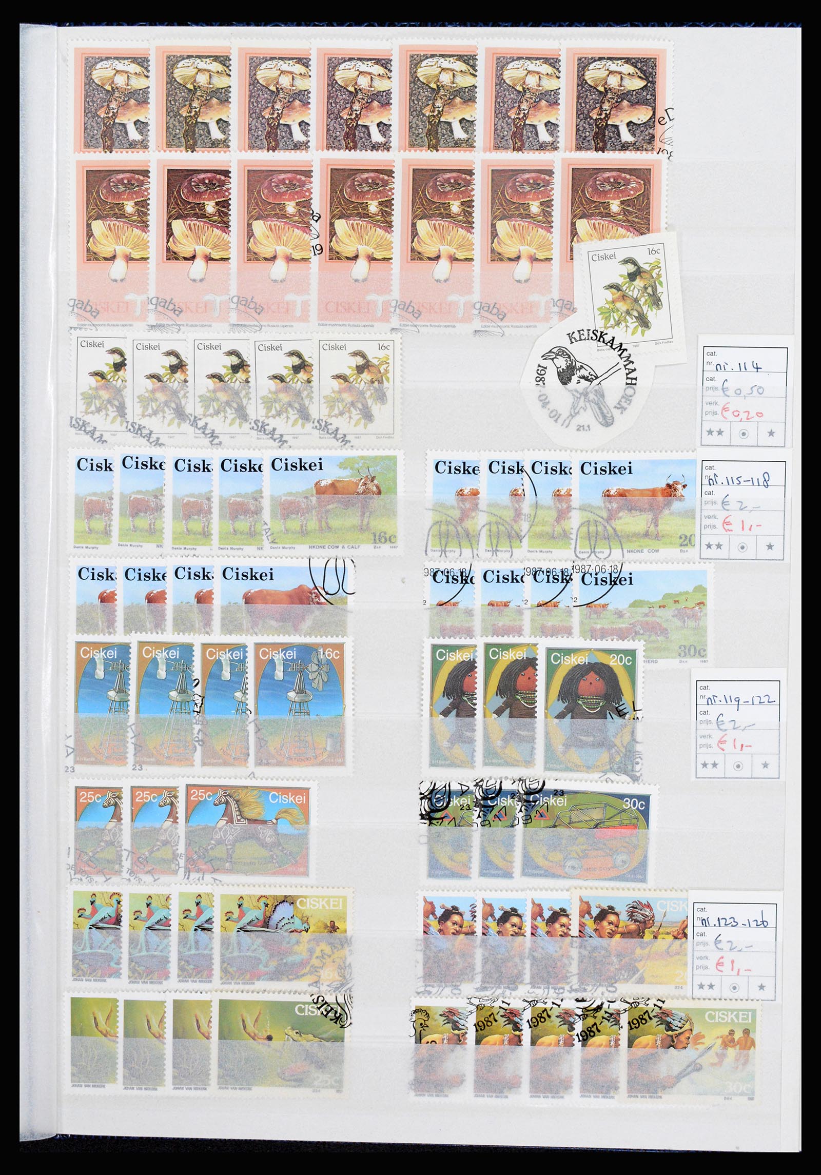 36743 275 - Postzegelverzameling 36743 Zuid Afrika en thuislanden 1910-1998.