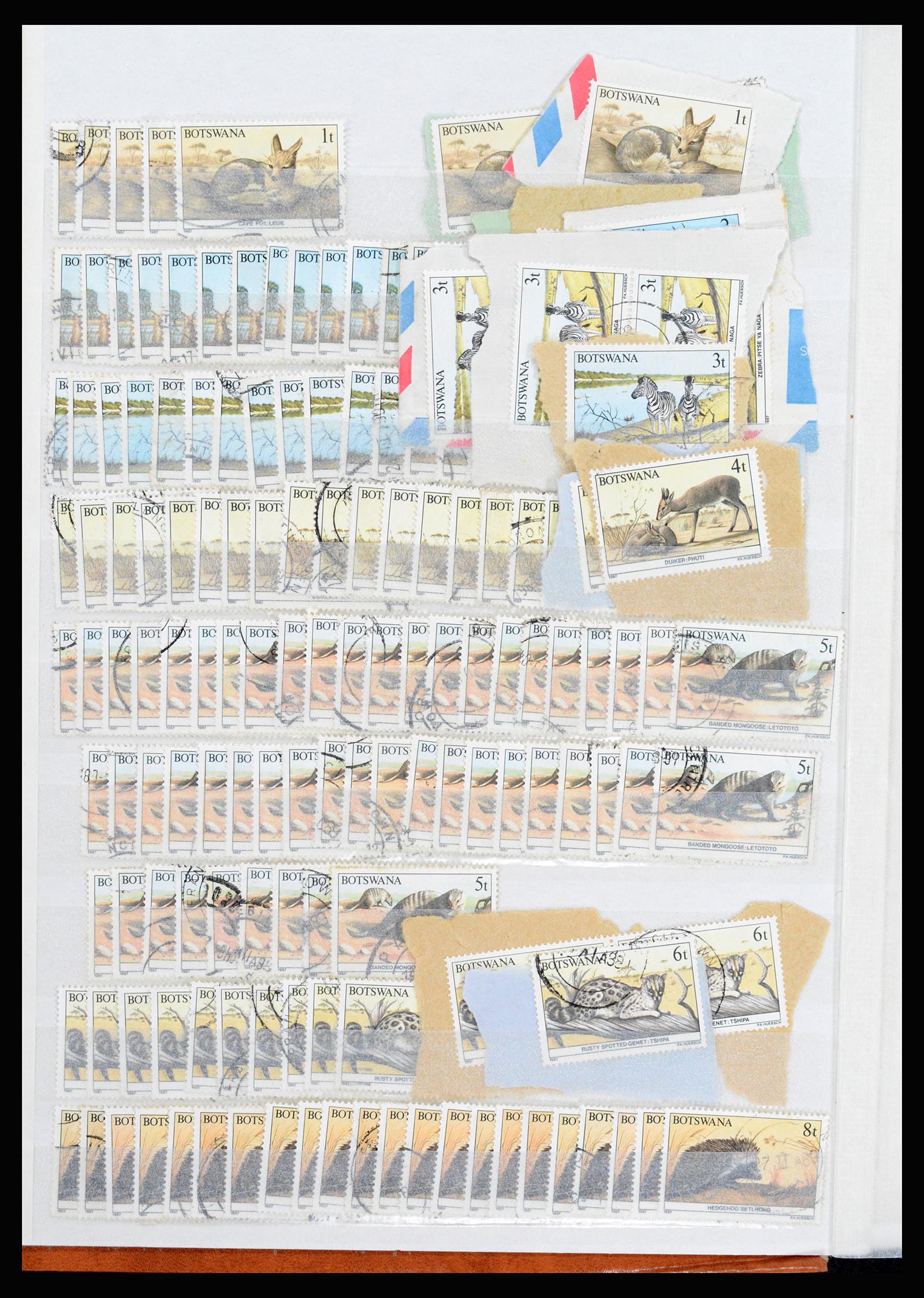 36743 283 - Postzegelverzameling 36743 Zuid Afrika en thuislanden 1910-1998.