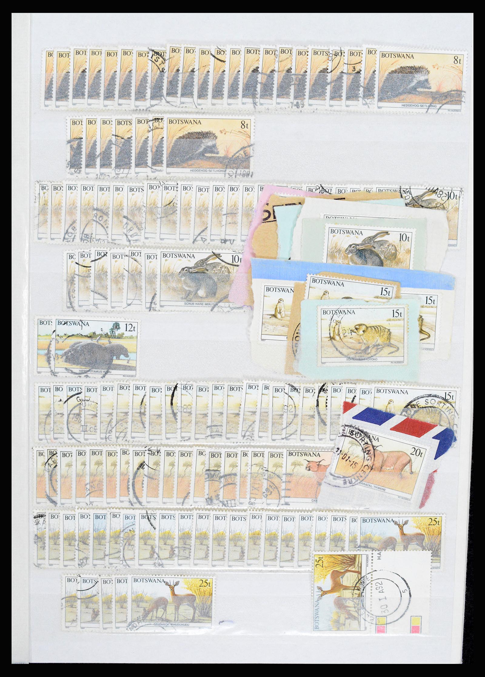 36743 284 - Postzegelverzameling 36743 Zuid Afrika en thuislanden 1910-1998.