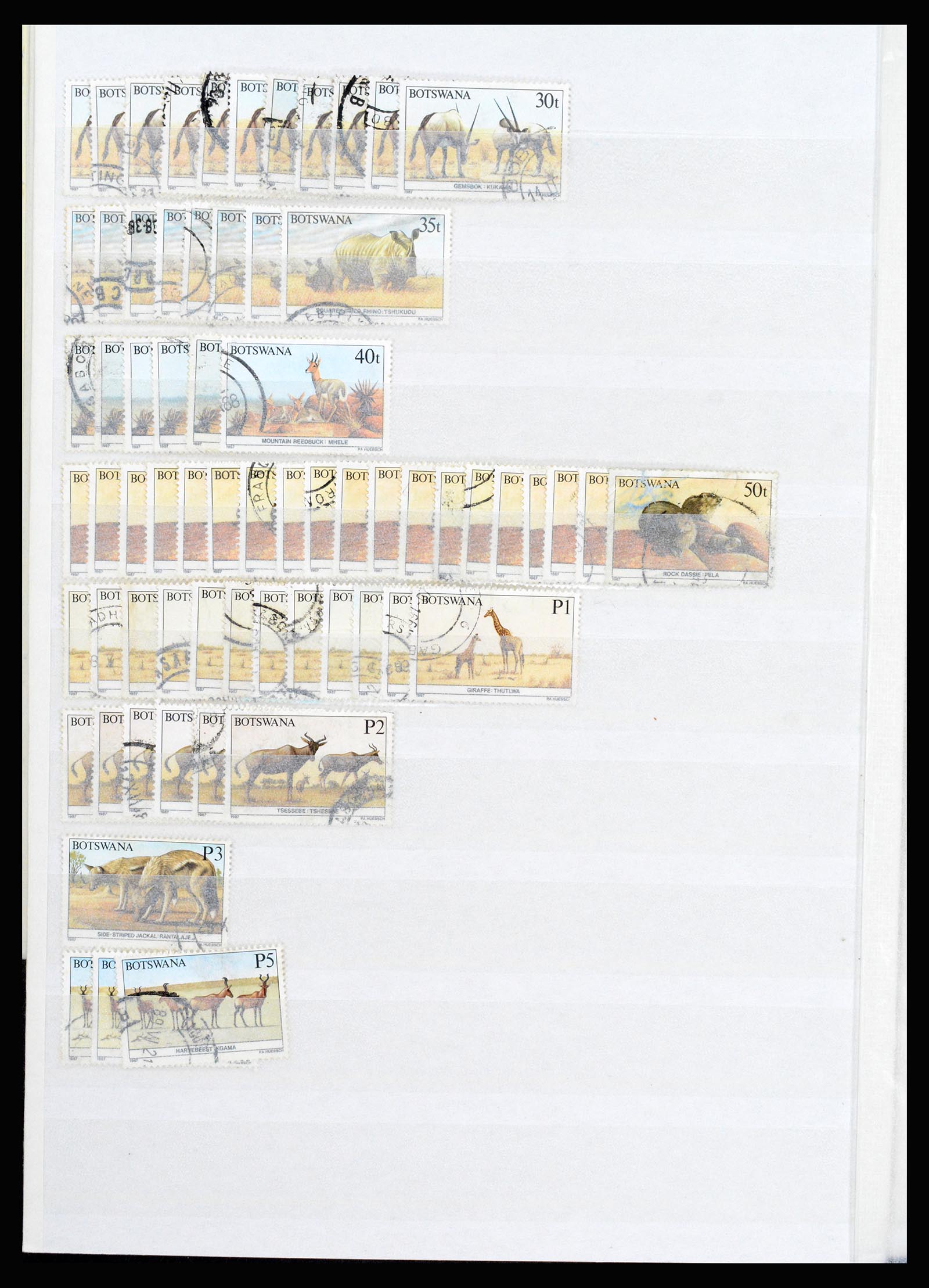 36743 285 - Postzegelverzameling 36743 Zuid Afrika en thuislanden 1910-1998.