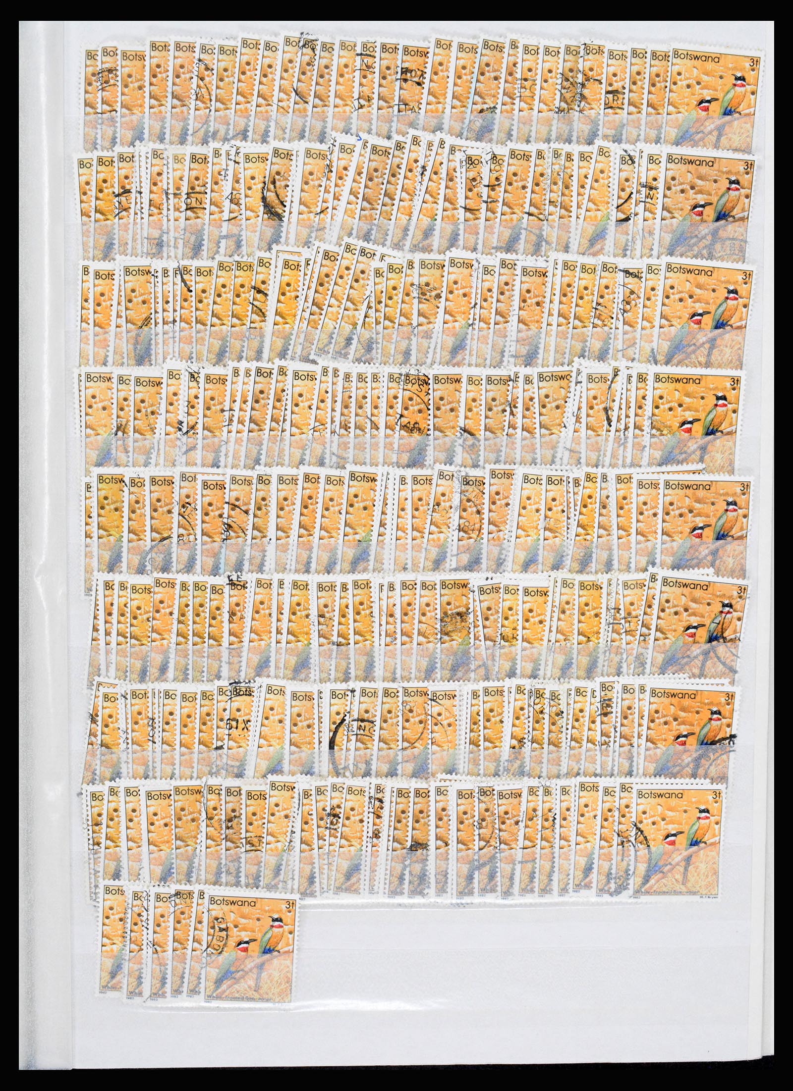 36743 294 - Postzegelverzameling 36743 Zuid Afrika en thuislanden 1910-1998.