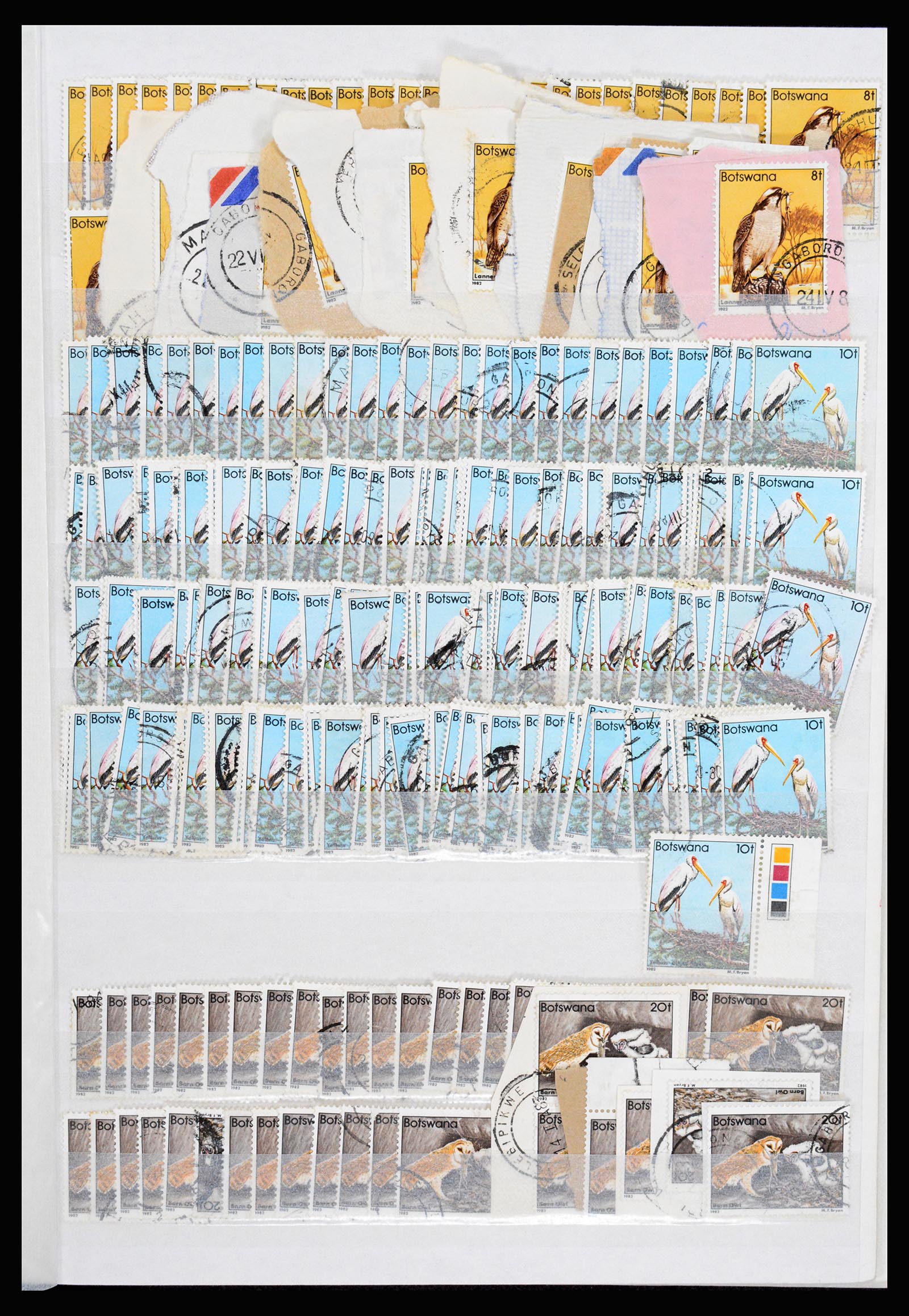 36743 298 - Postzegelverzameling 36743 Zuid Afrika en thuislanden 1910-1998.