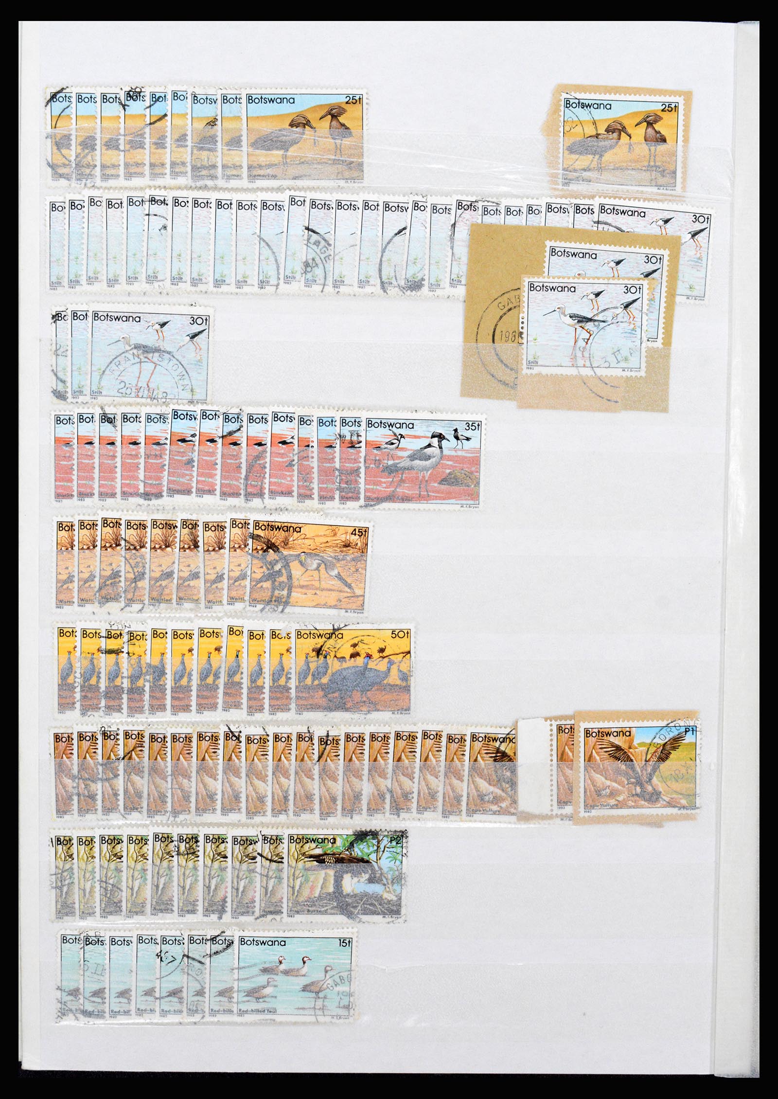 36743 299 - Postzegelverzameling 36743 Zuid Afrika en thuislanden 1910-1998.
