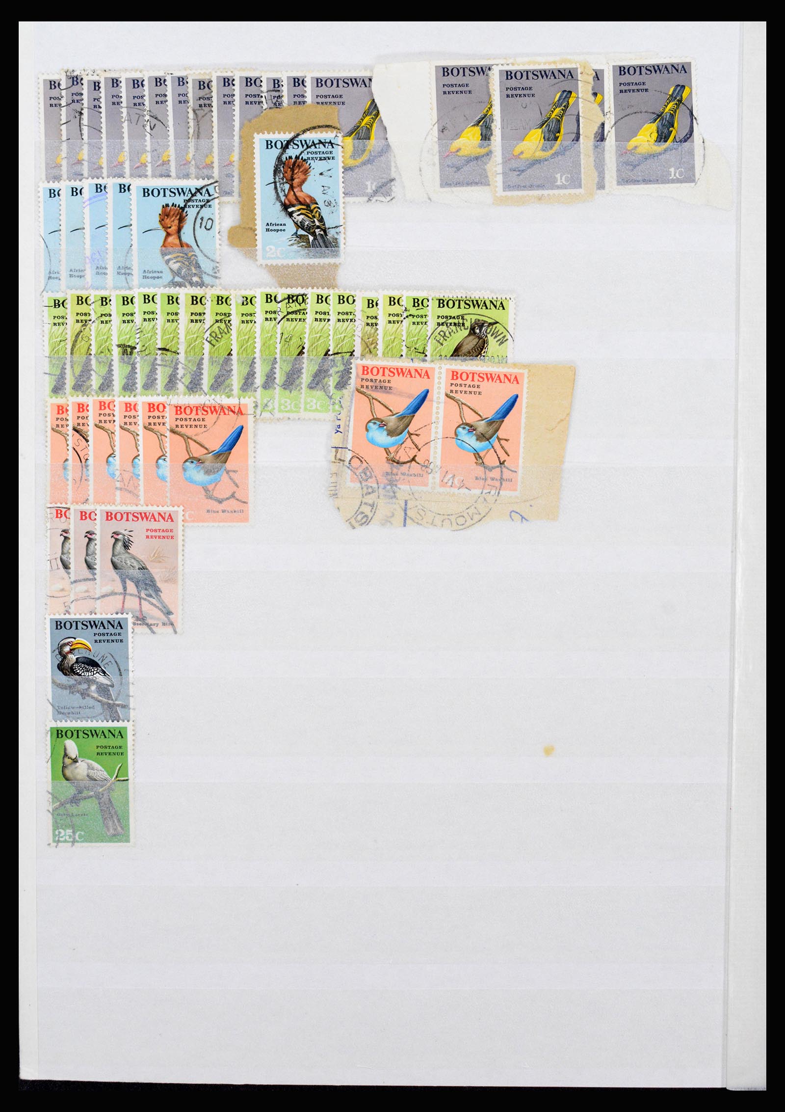 36743 303 - Postzegelverzameling 36743 Zuid Afrika en thuislanden 1910-1998.