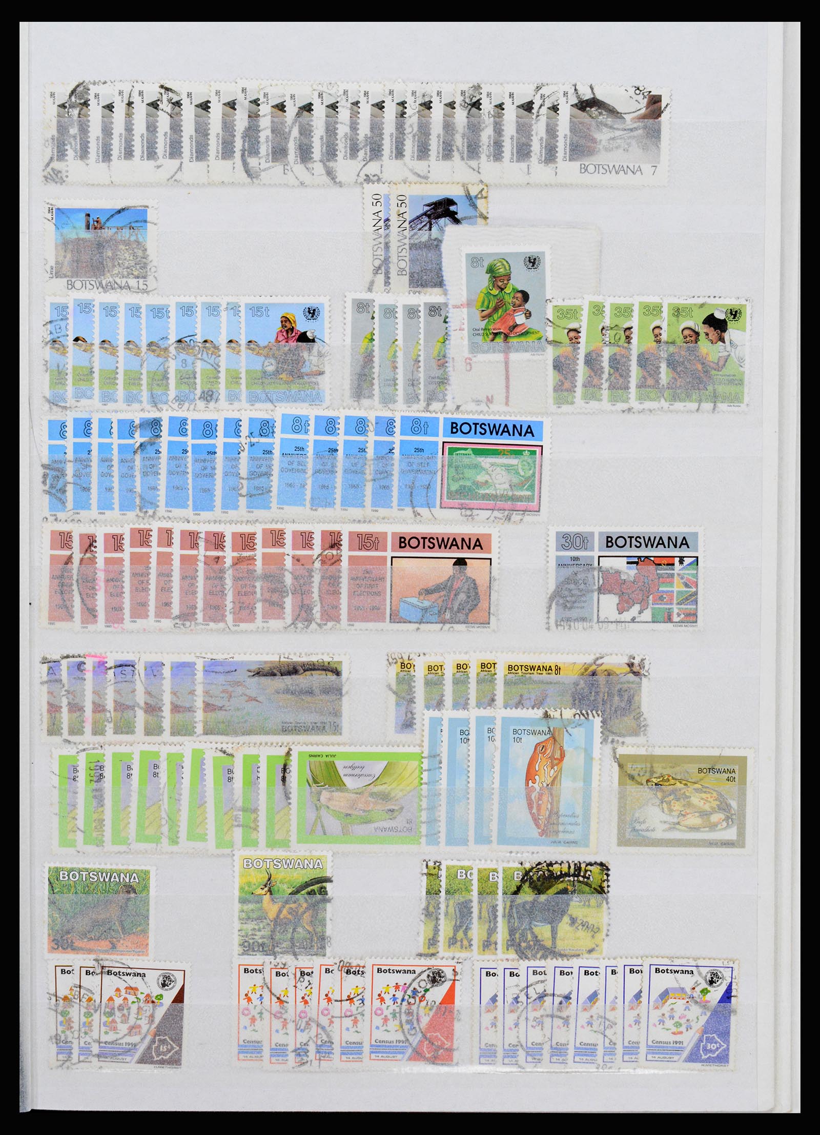 36743 308 - Postzegelverzameling 36743 Zuid Afrika en thuislanden 1910-1998.