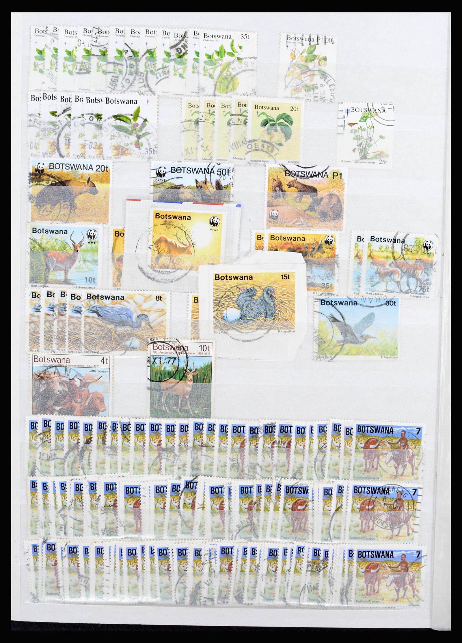 36743 315 - Postzegelverzameling 36743 Zuid Afrika en thuislanden 1910-1998.