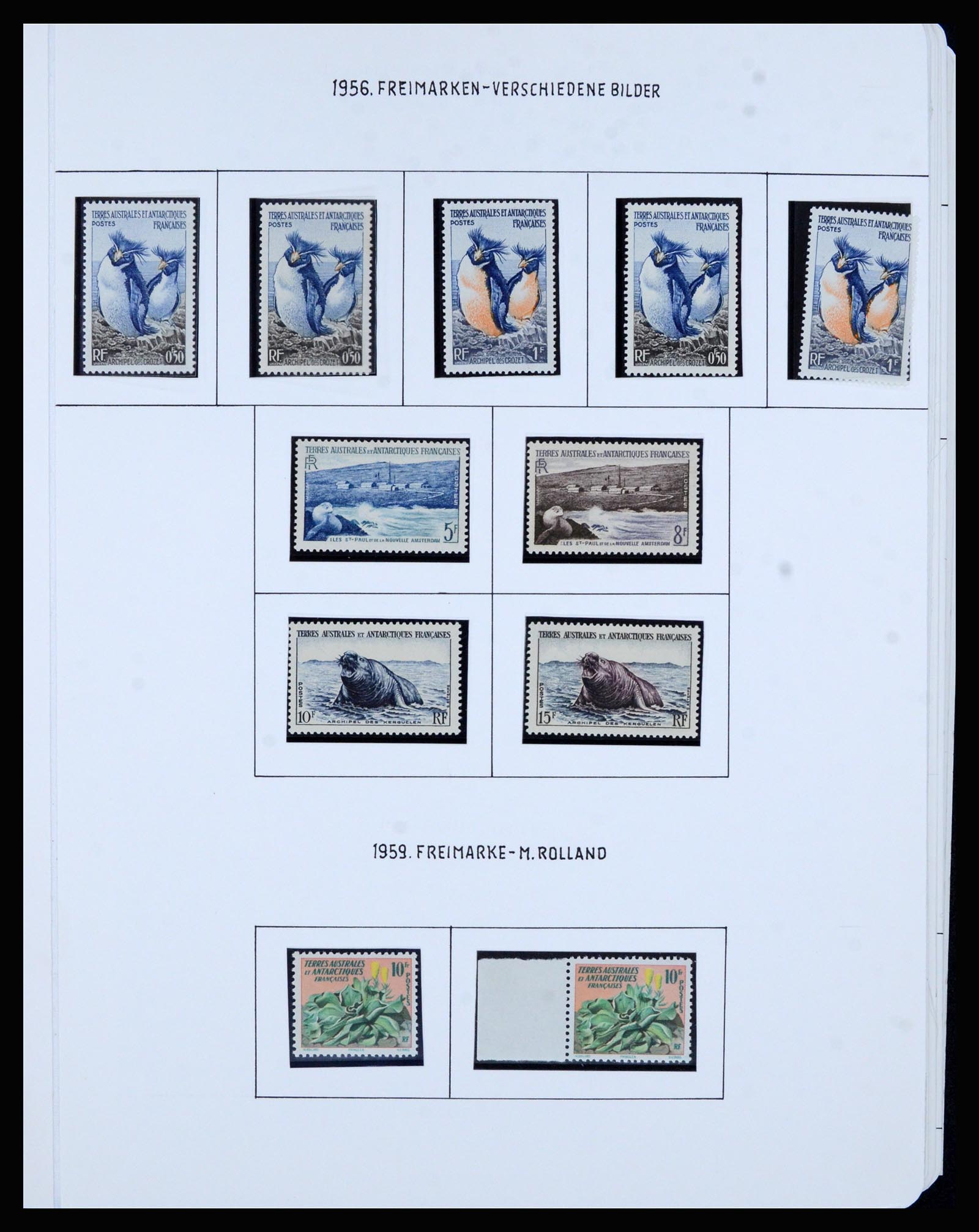 36751 001 - Postzegelverzameling 36751 Frans Antarctica 1955-1984.