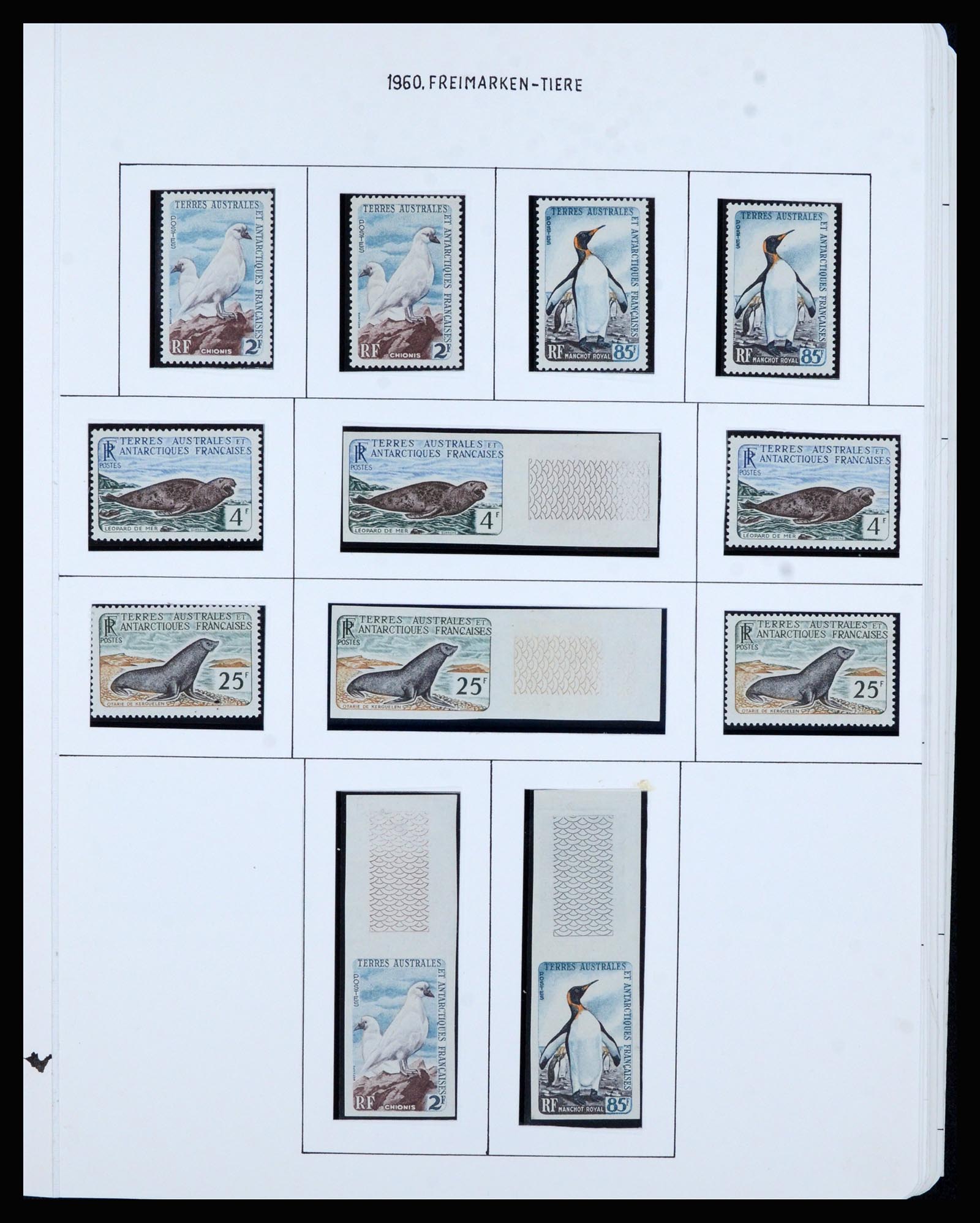 36751 007 - Postzegelverzameling 36751 Frans Antarctica 1955-1984.