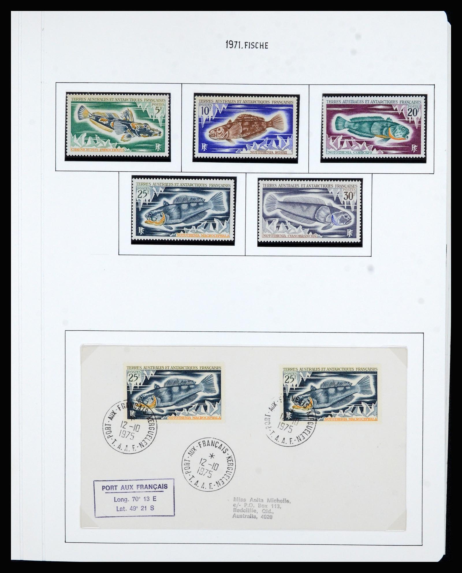 36751 028 - Postzegelverzameling 36751 Frans Antarctica 1955-1984.