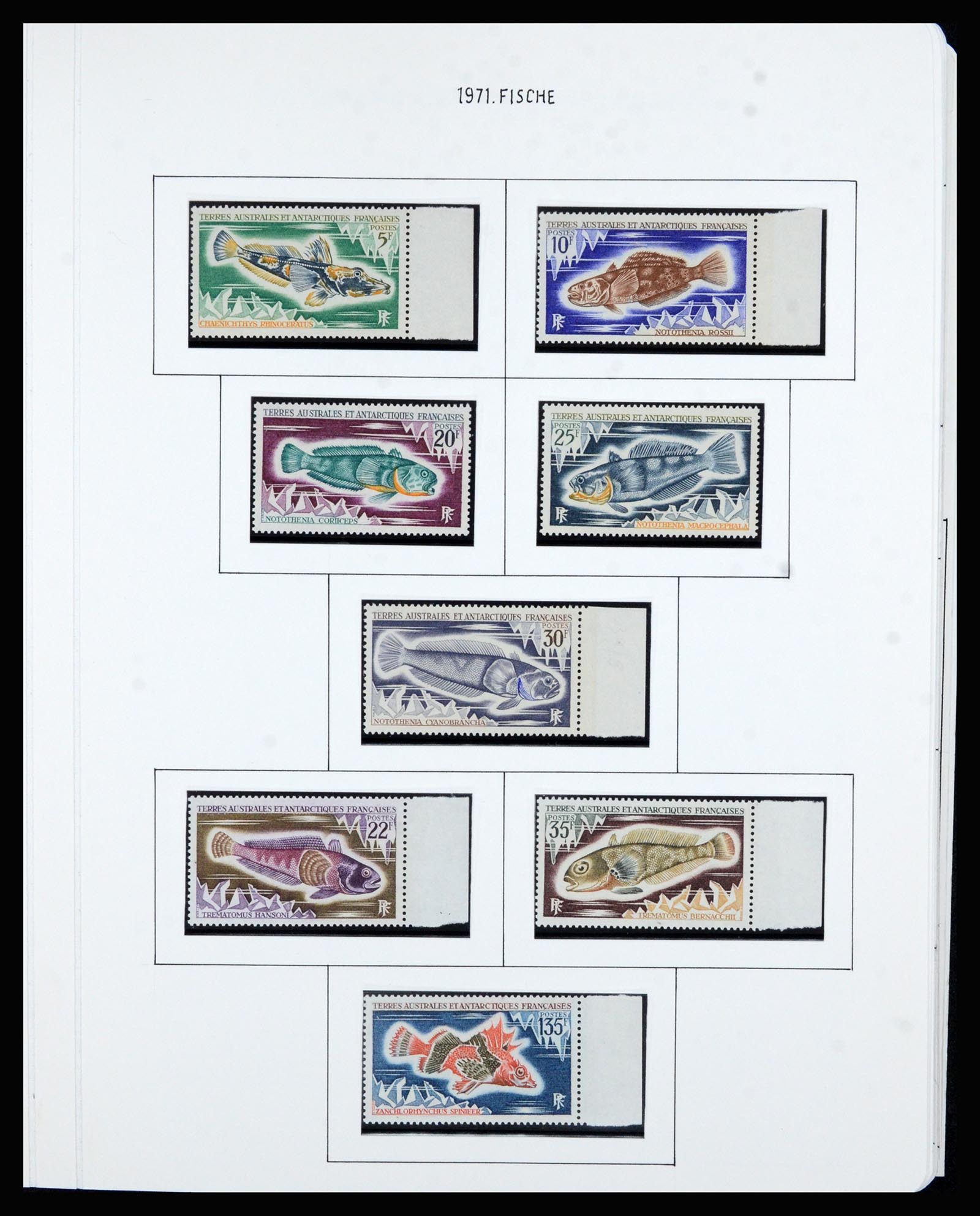 36751 029 - Postzegelverzameling 36751 Frans Antarctica 1955-1984.