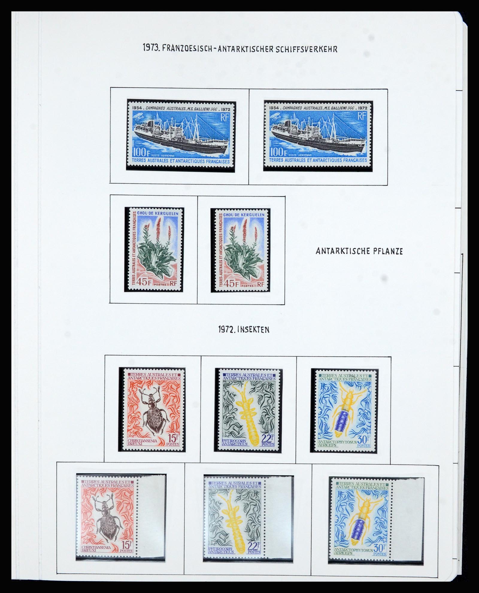 36751 033 - Postzegelverzameling 36751 Frans Antarctica 1955-1984.