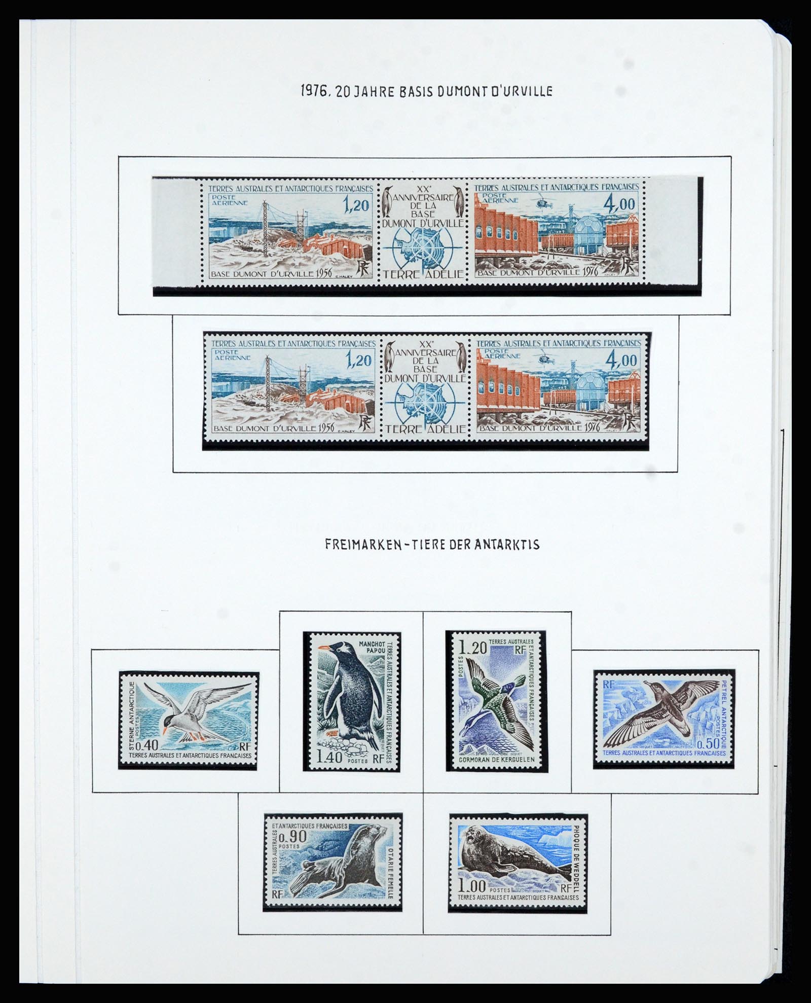 36751 041 - Postzegelverzameling 36751 Frans Antarctica 1955-1984.