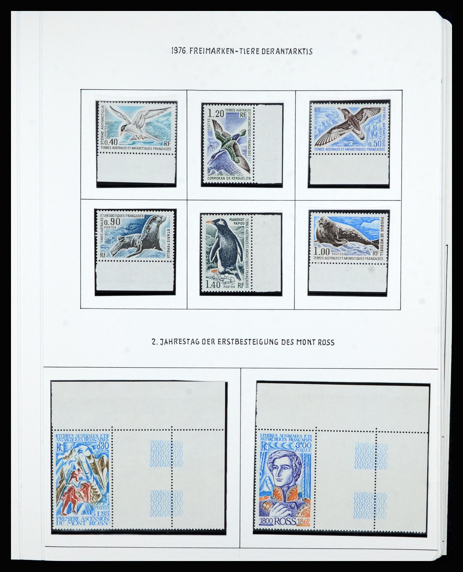 36751 042 - Postzegelverzameling 36751 Frans Antarctica 1955-1984.