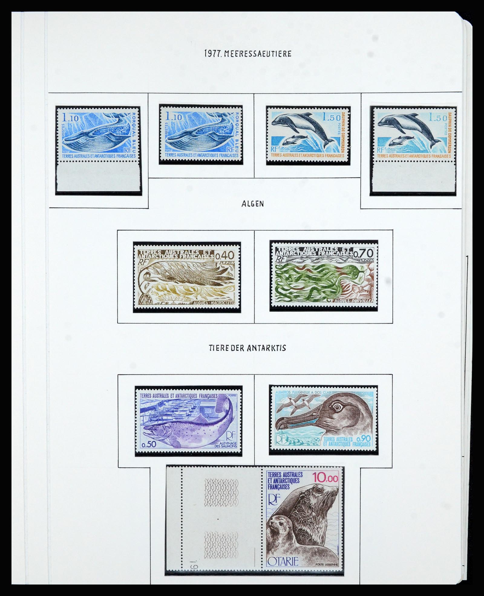 36751 044 - Postzegelverzameling 36751 Frans Antarctica 1955-1984.
