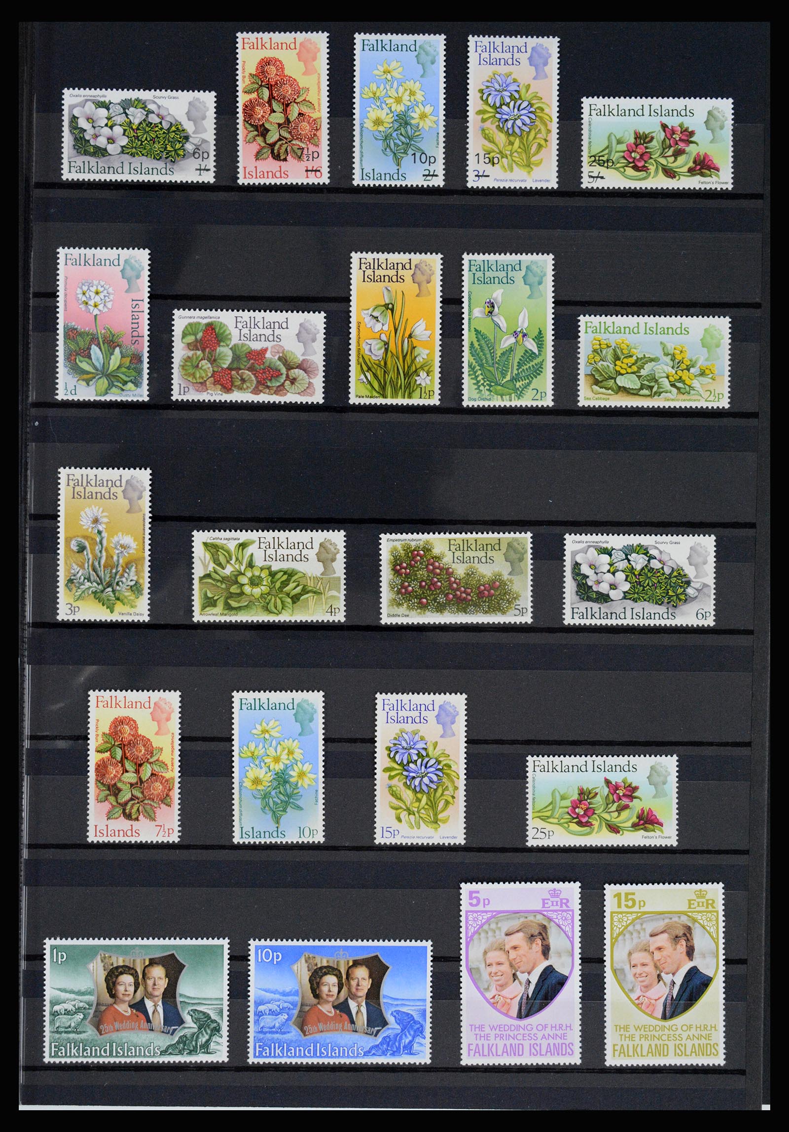 36784 009 - Postzegelverzameling 36784 Falkland Eilanden 1895-1997.