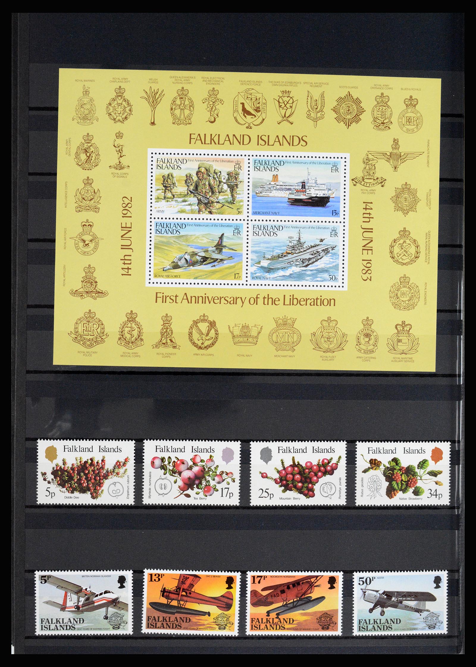 36784 020 - Postzegelverzameling 36784 Falkland Eilanden 1895-1997.