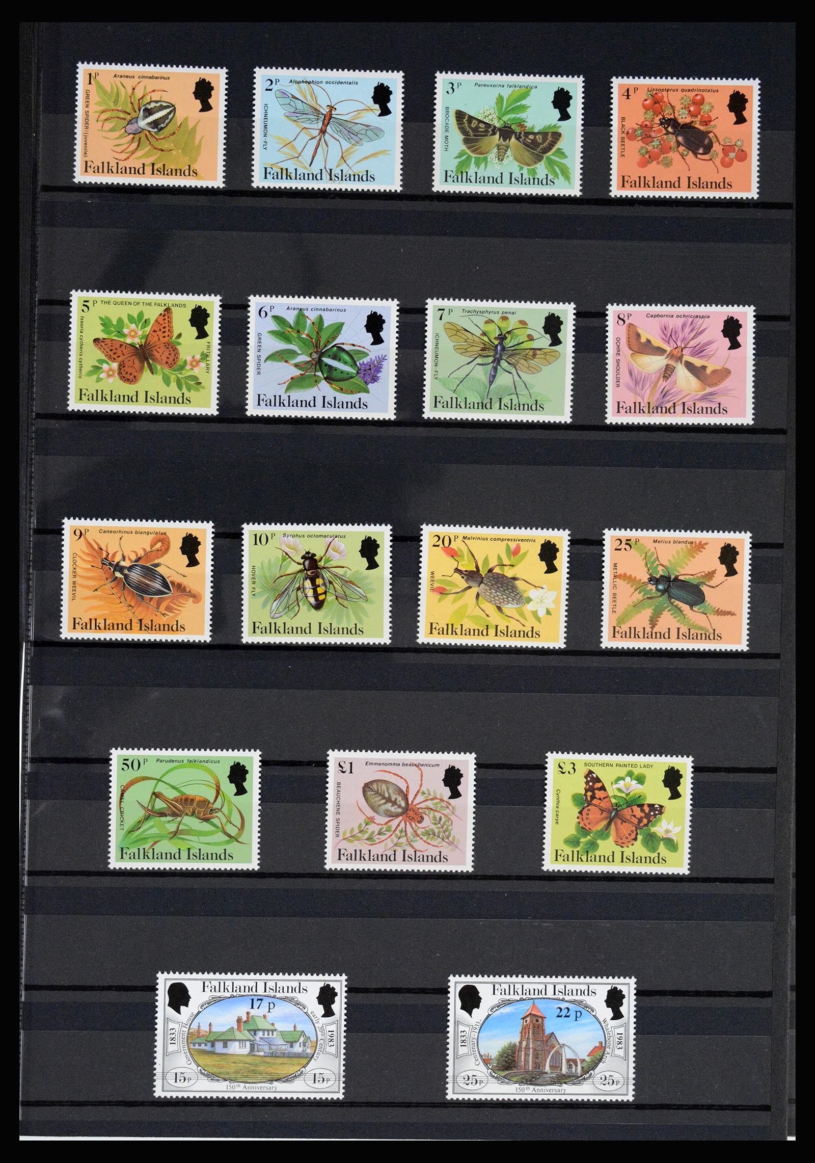 36784 021 - Postzegelverzameling 36784 Falkland Eilanden 1895-1997.