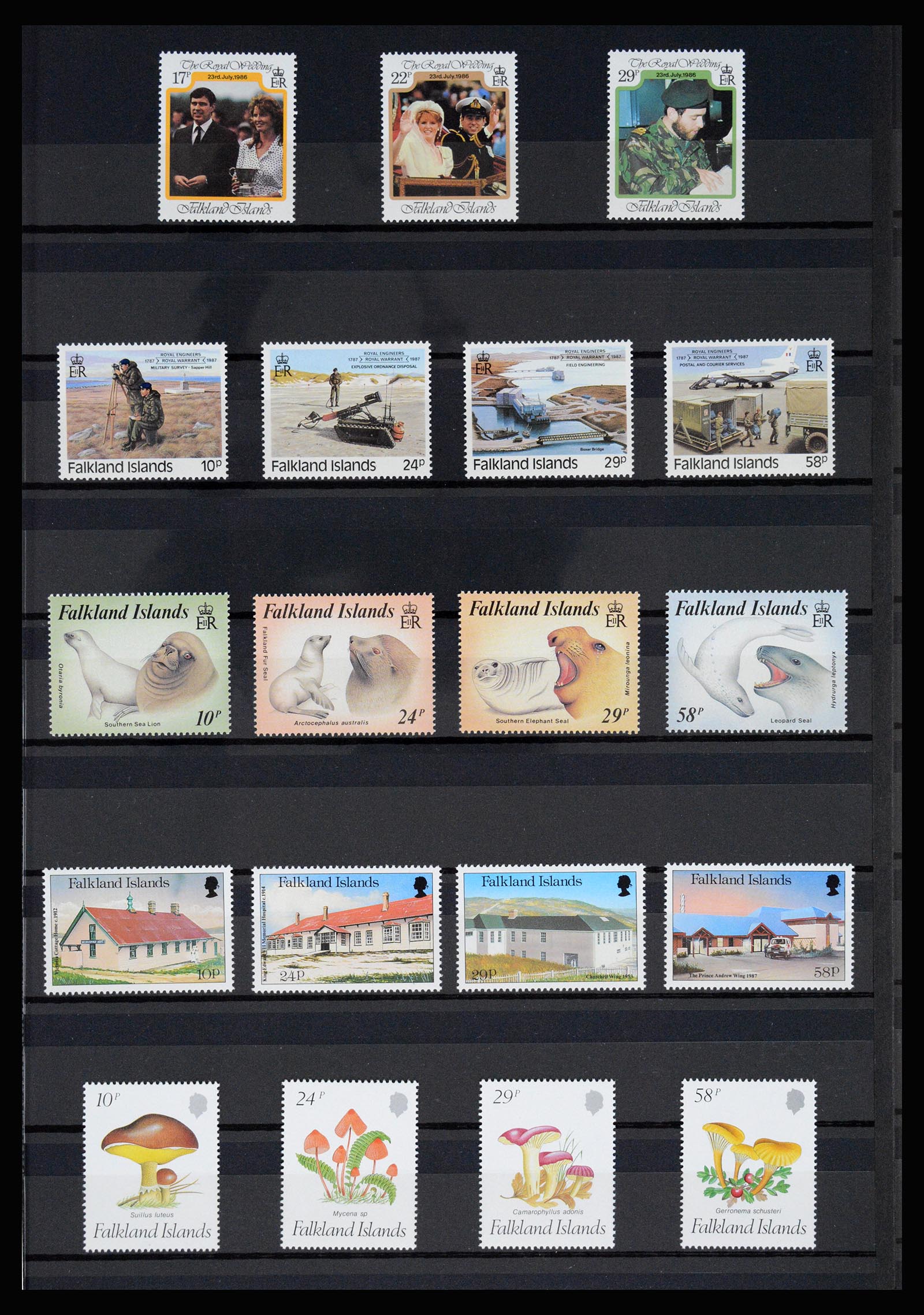 36784 025 - Postzegelverzameling 36784 Falkland Eilanden 1895-1997.