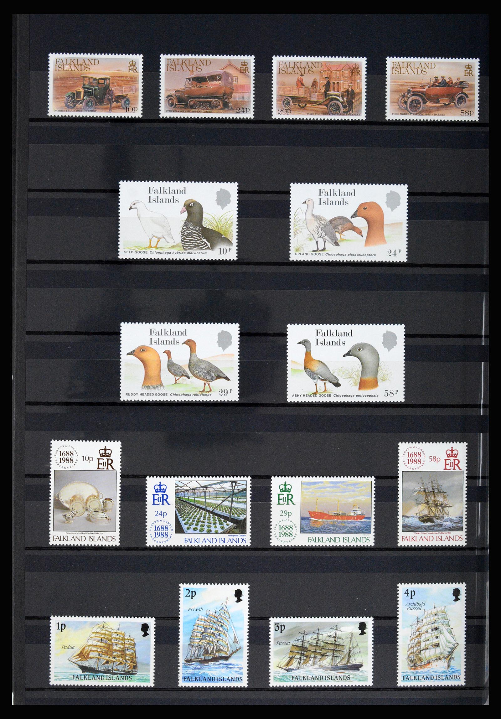 36784 026 - Postzegelverzameling 36784 Falkland Eilanden 1895-1997.