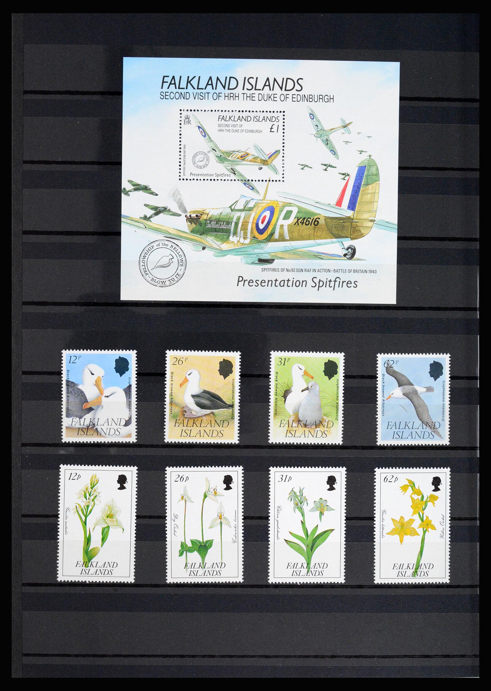 36784 028 - Postzegelverzameling 36784 Falkland Eilanden 1895-1997.