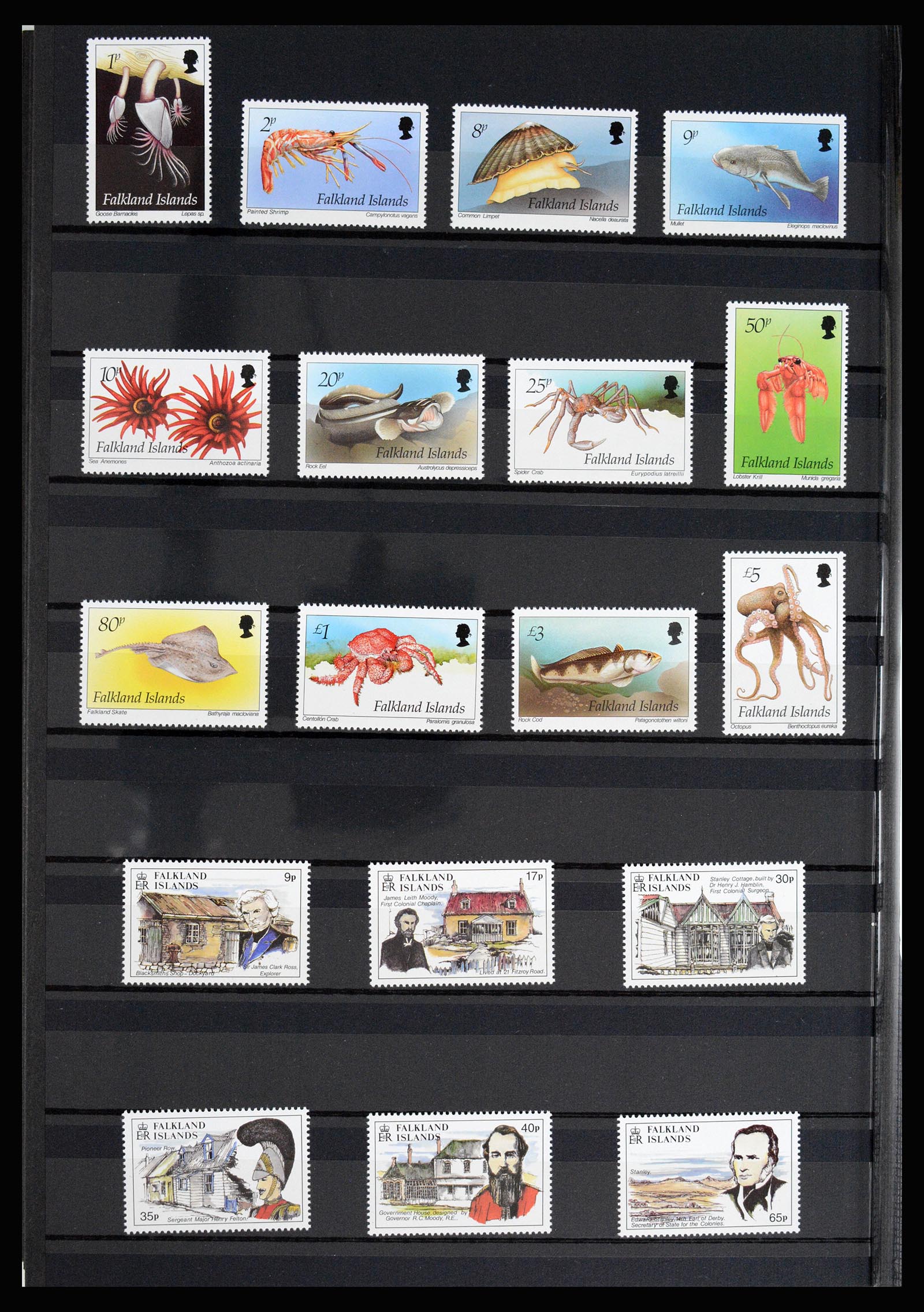 36784 034 - Postzegelverzameling 36784 Falkland Eilanden 1895-1997.