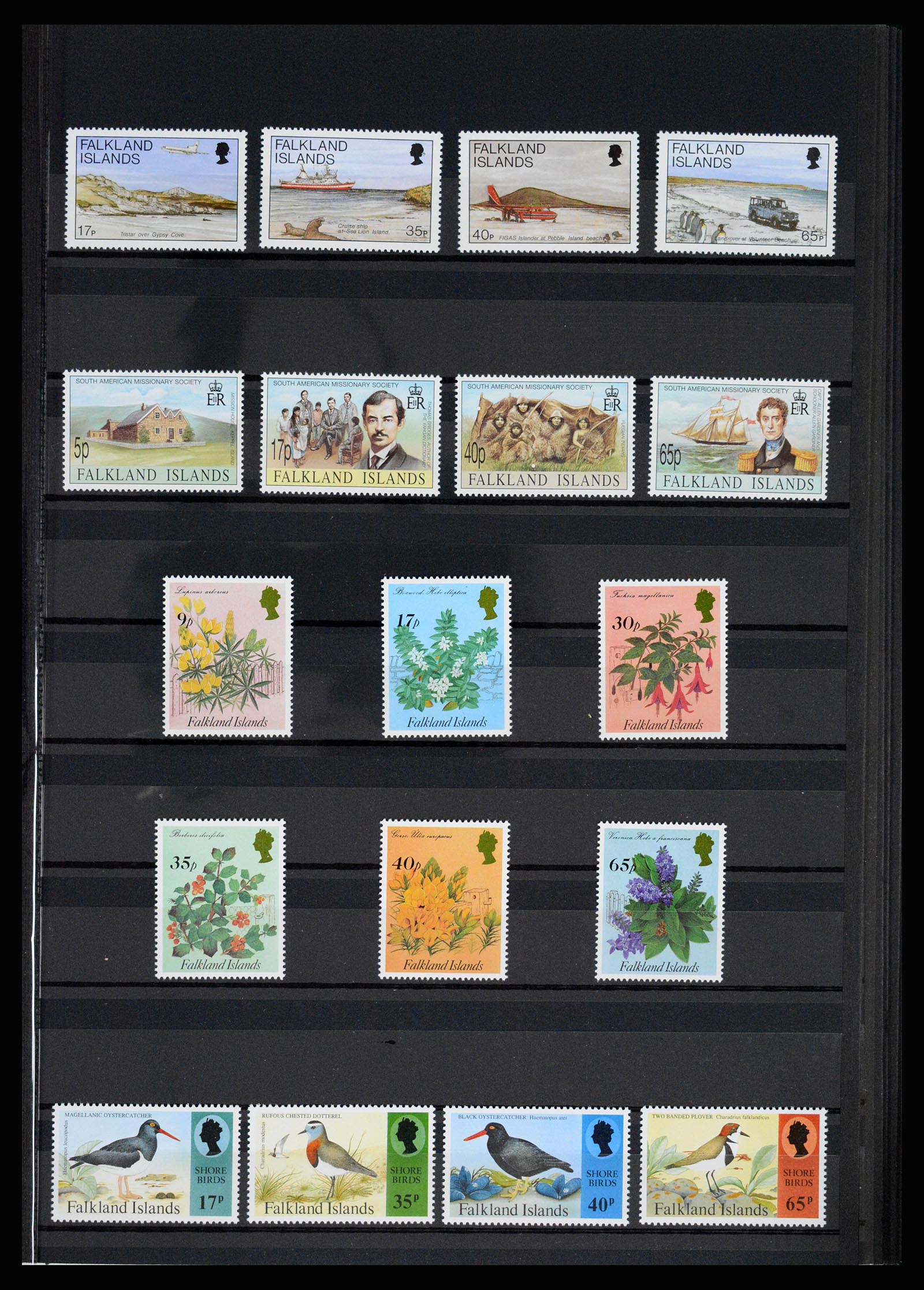 36784 035 - Postzegelverzameling 36784 Falkland Eilanden 1895-1997.