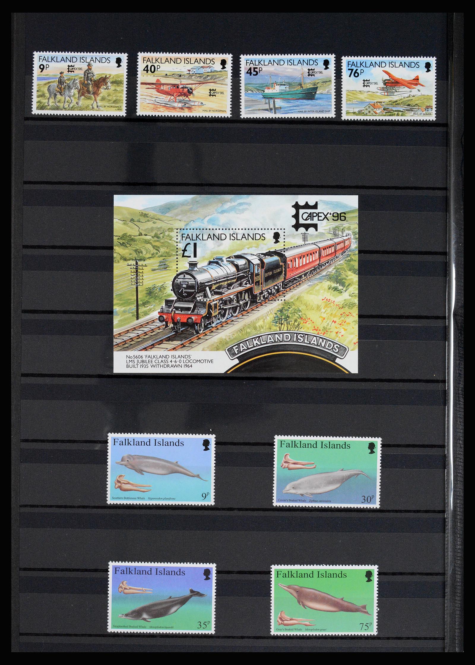 36784 038 - Postzegelverzameling 36784 Falkland Eilanden 1895-1997.