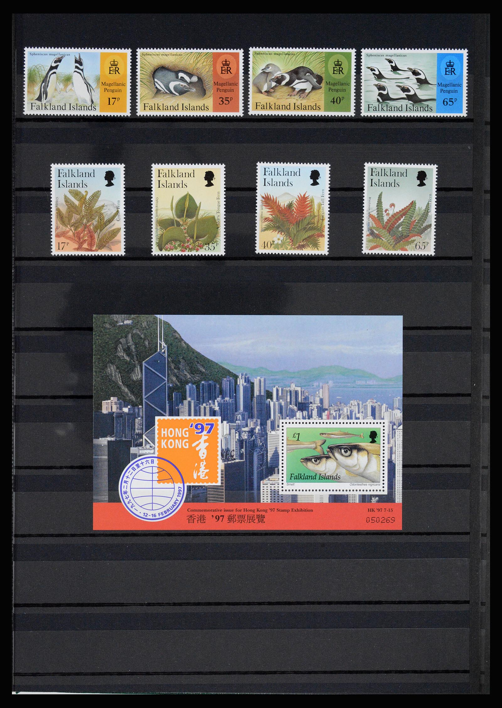 36784 039 - Postzegelverzameling 36784 Falkland Eilanden 1895-1997.