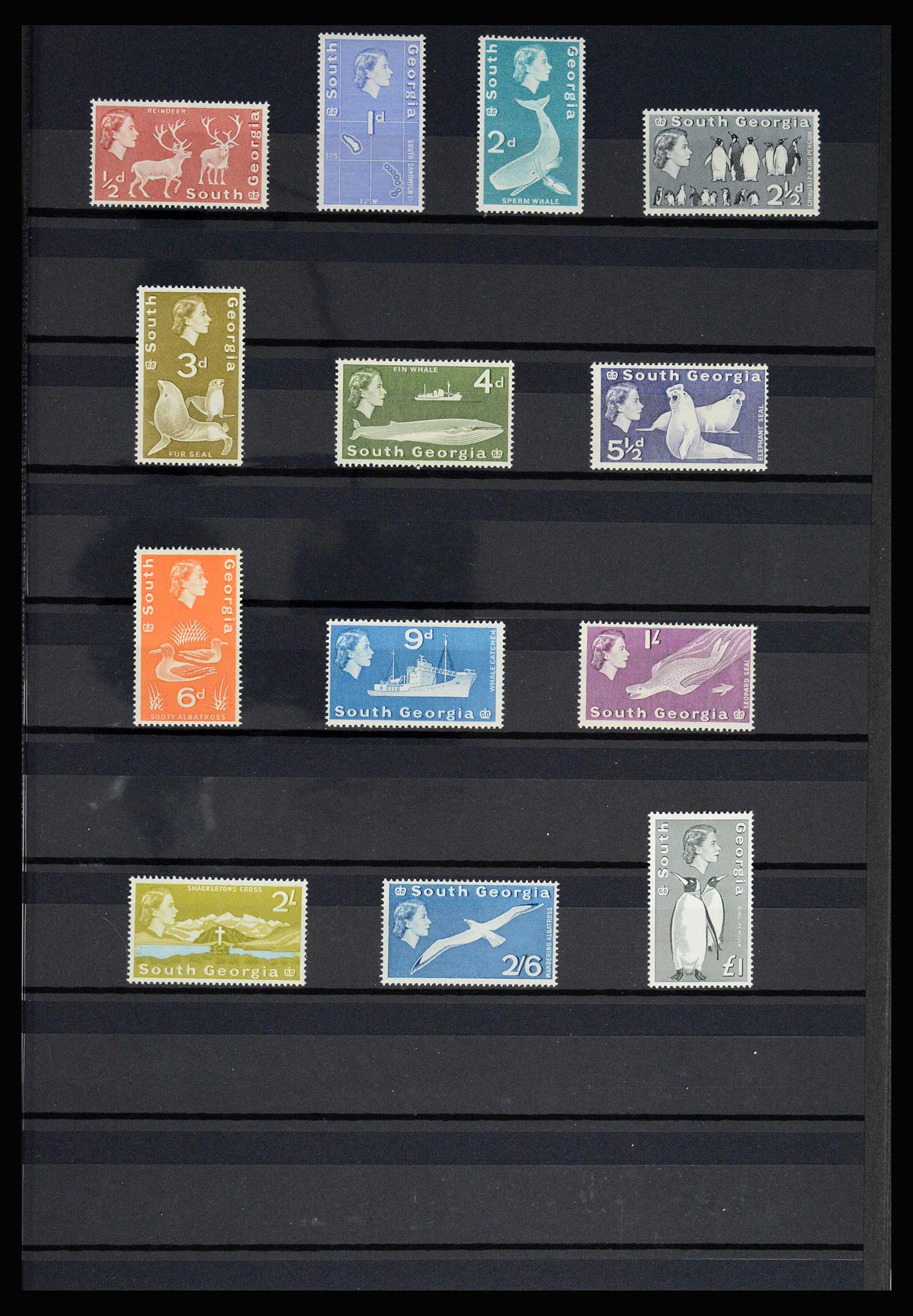 36784 047 - Postzegelverzameling 36784 Falkland Eilanden 1895-1997.