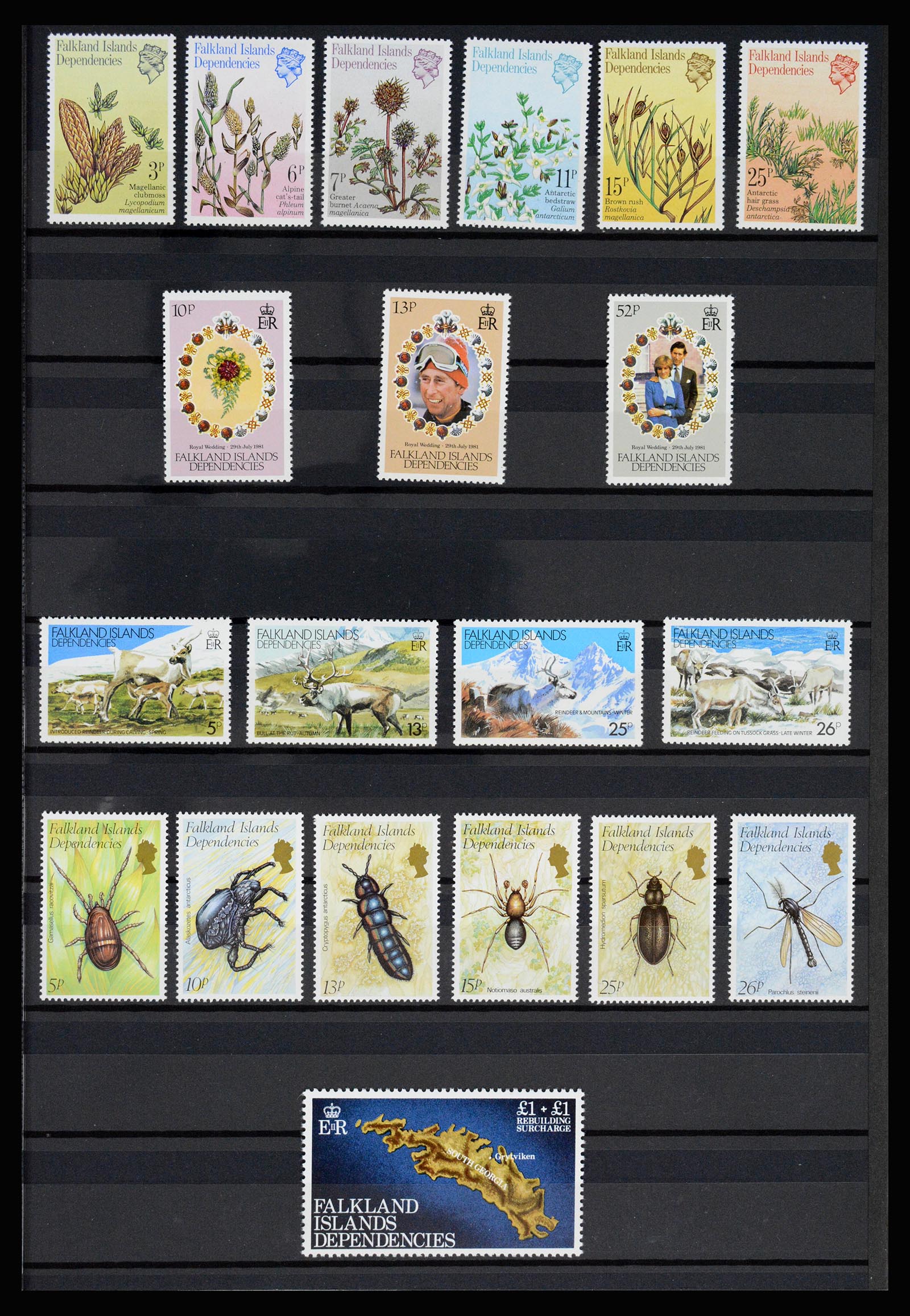 36784 053 - Postzegelverzameling 36784 Falkland Eilanden 1895-1997.