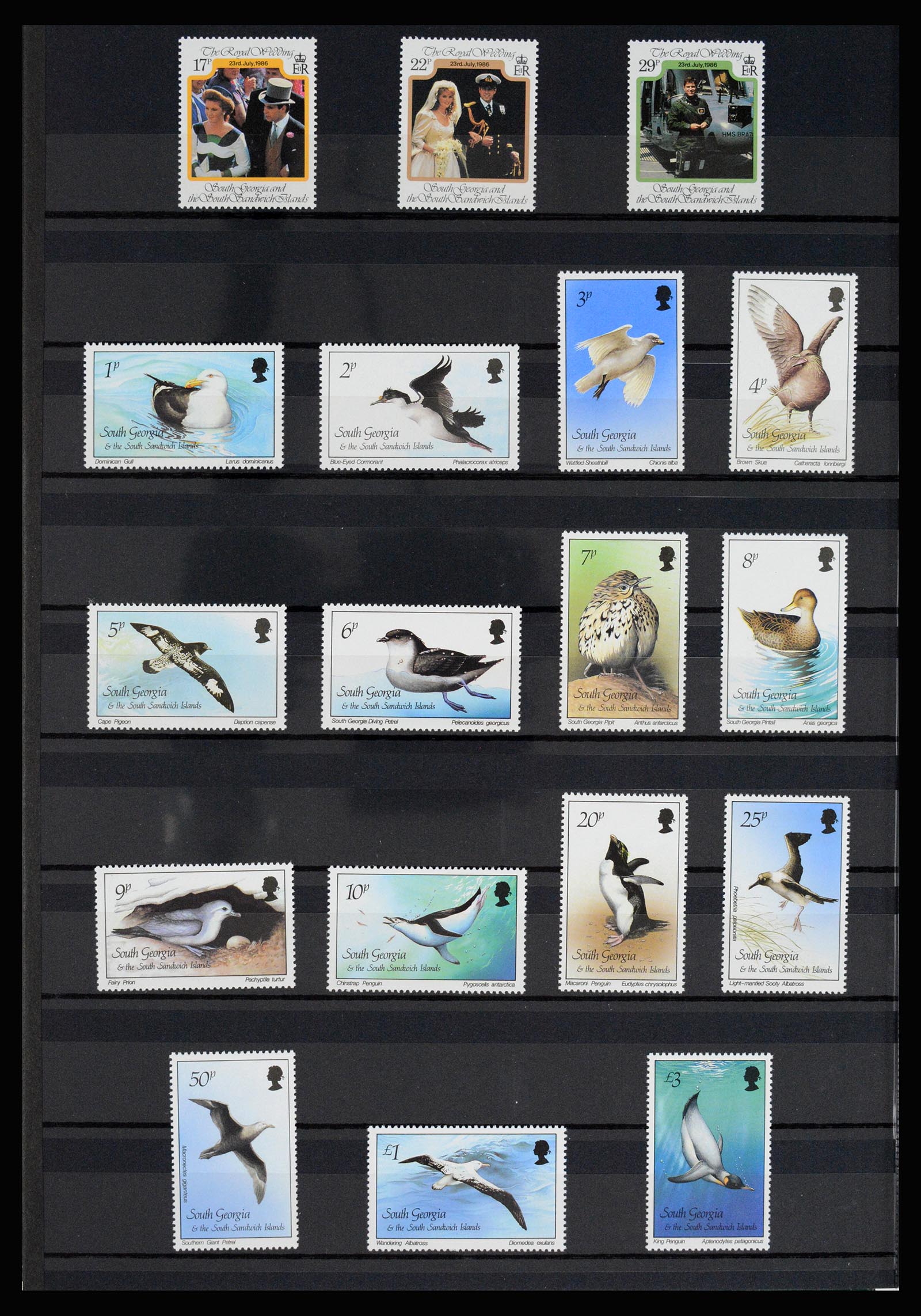 36784 056 - Postzegelverzameling 36784 Falkland Eilanden 1895-1997.