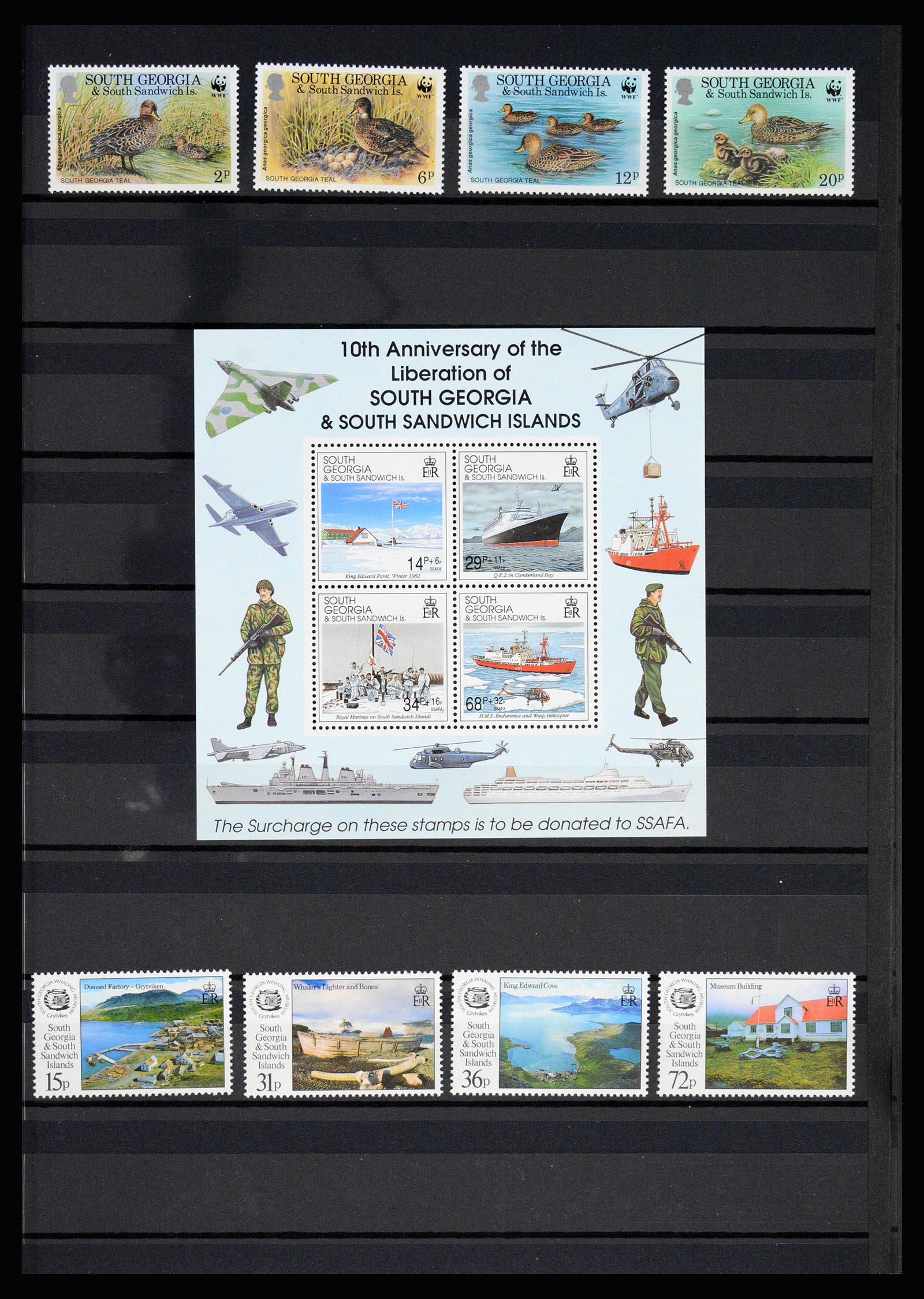 36784 059 - Postzegelverzameling 36784 Falkland Eilanden 1895-1997.